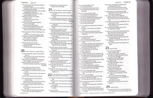 Compact Gift Bible Nlt (Bonded Leather, Burgundy/Maroon)