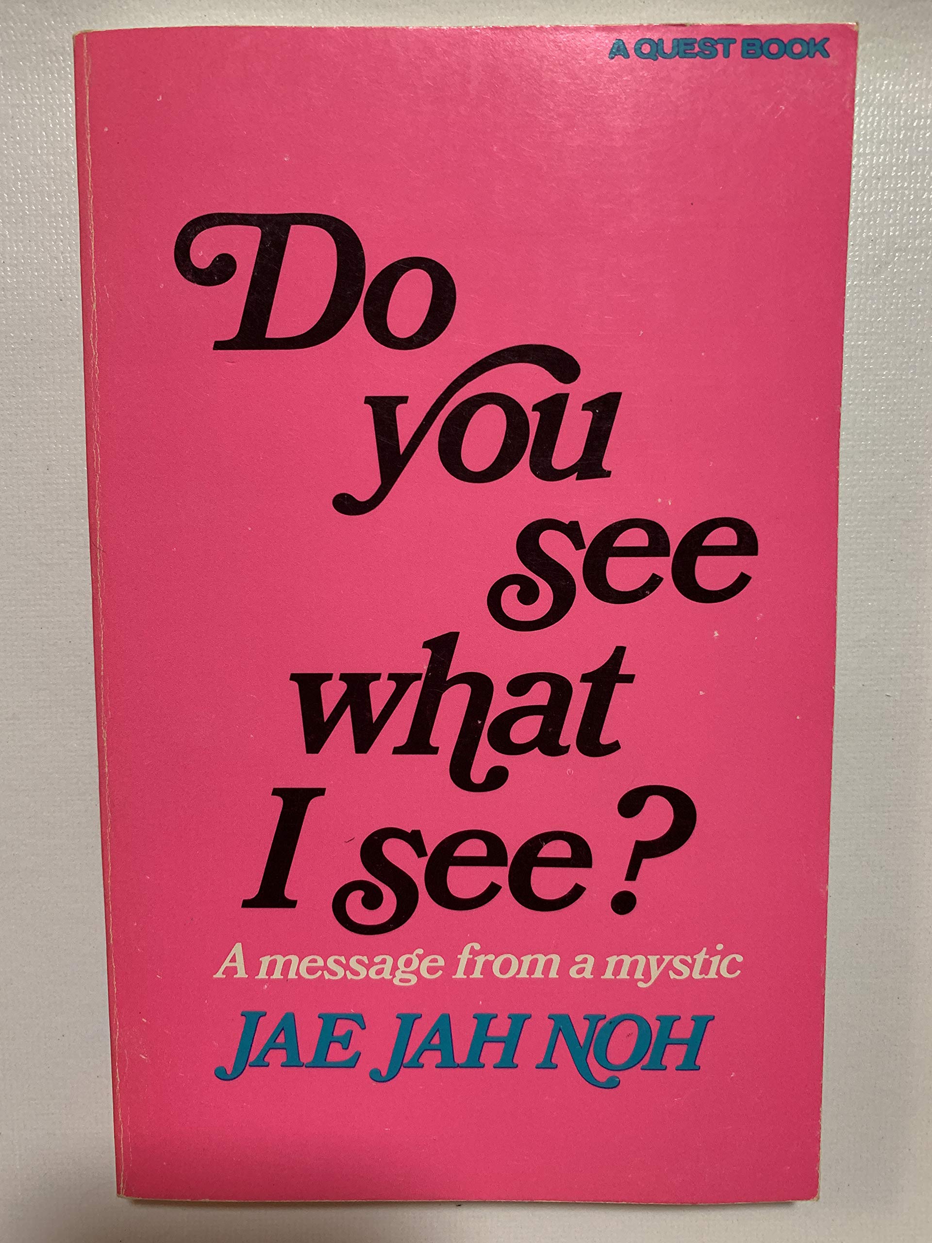 Do You See What I See?: A Message from a Mystic (A Quest book),Used