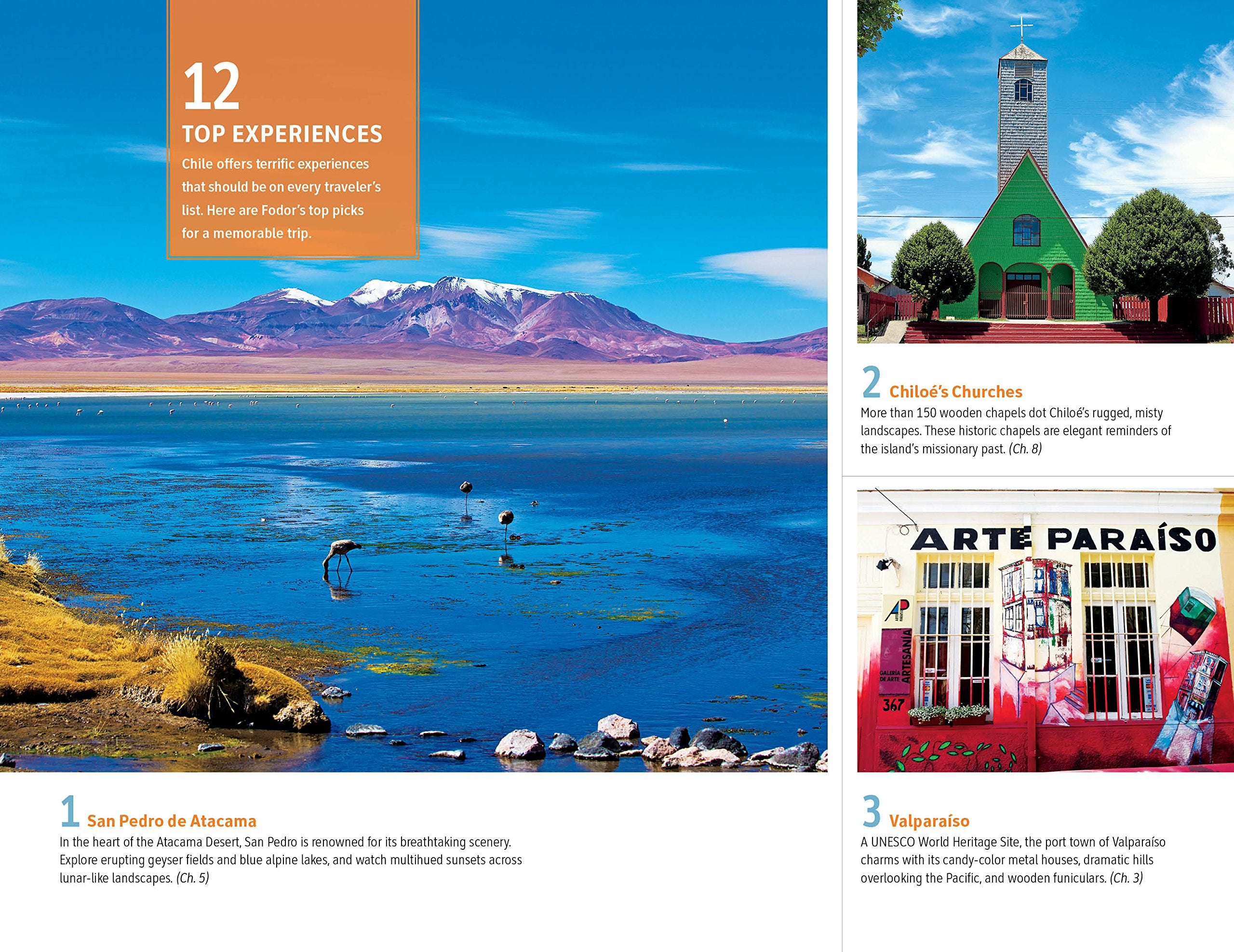 Fodor's Essential Chile: with Easter Island & Patagonia (Travel Guide),Used