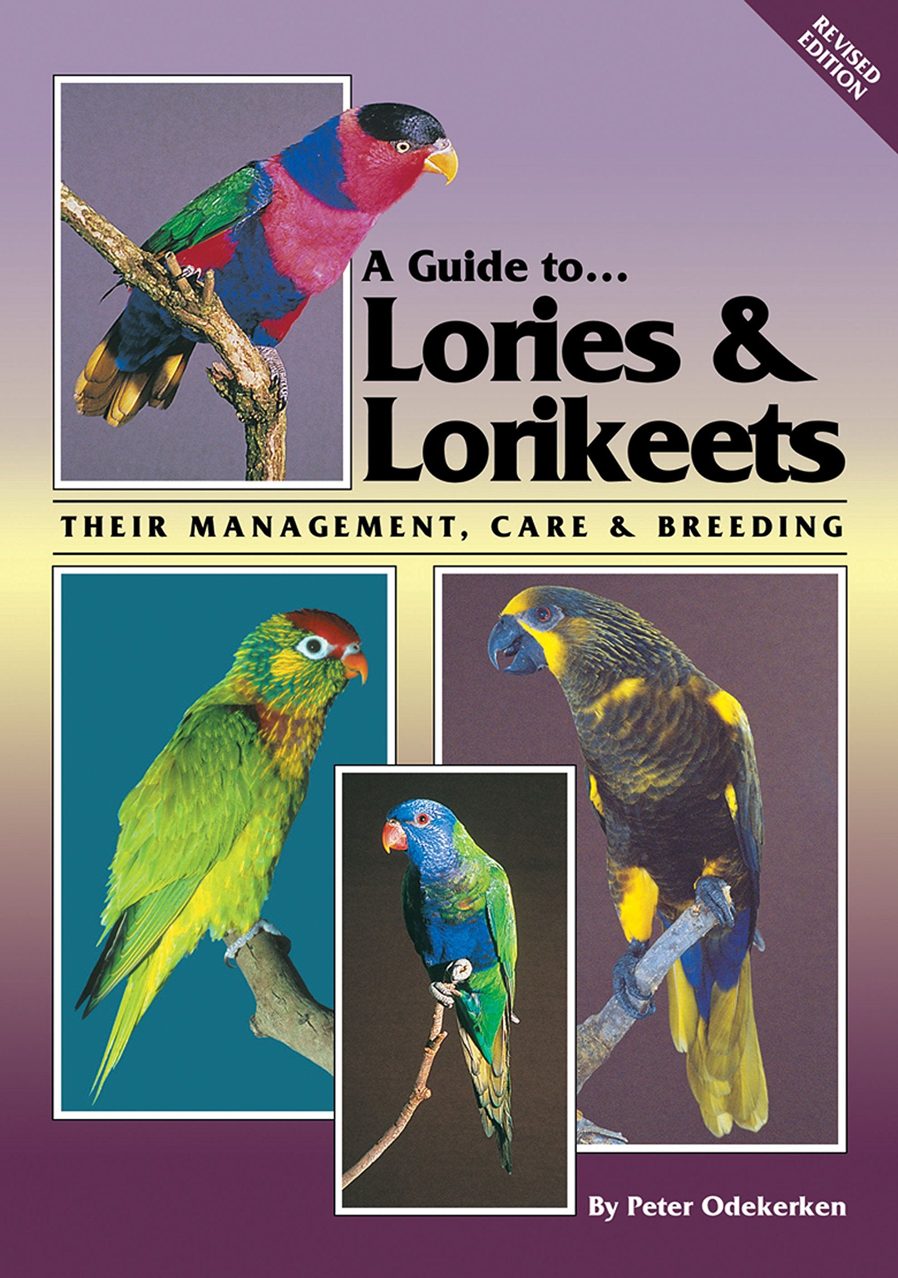 Guide to Lories and LorikeetsTheir Management, Care and Breeding (A Guide To)