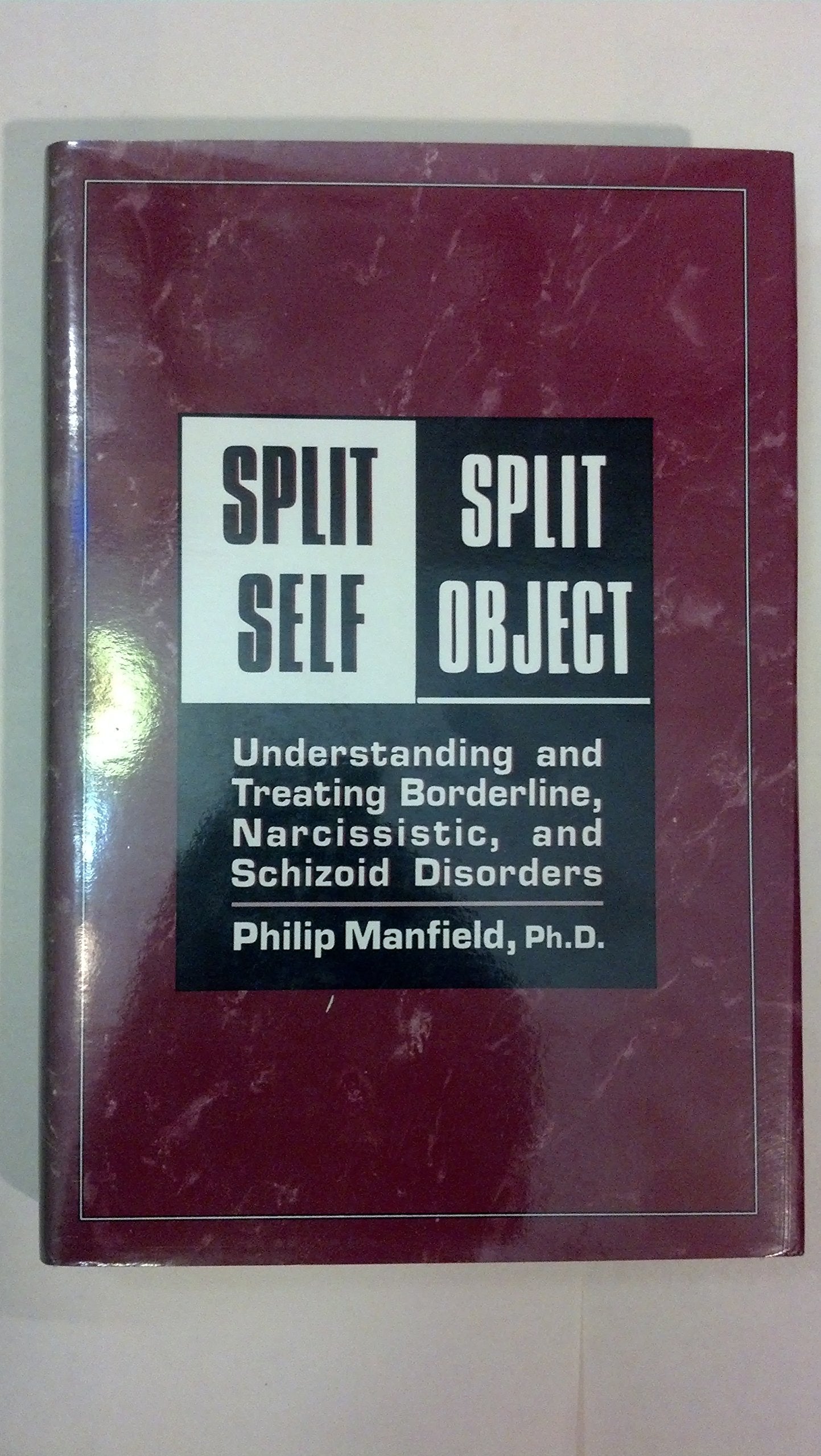 Split Self/Split Object: Understanding and Treating Borderline, Narcissistic, and Schizoid Disorders,New