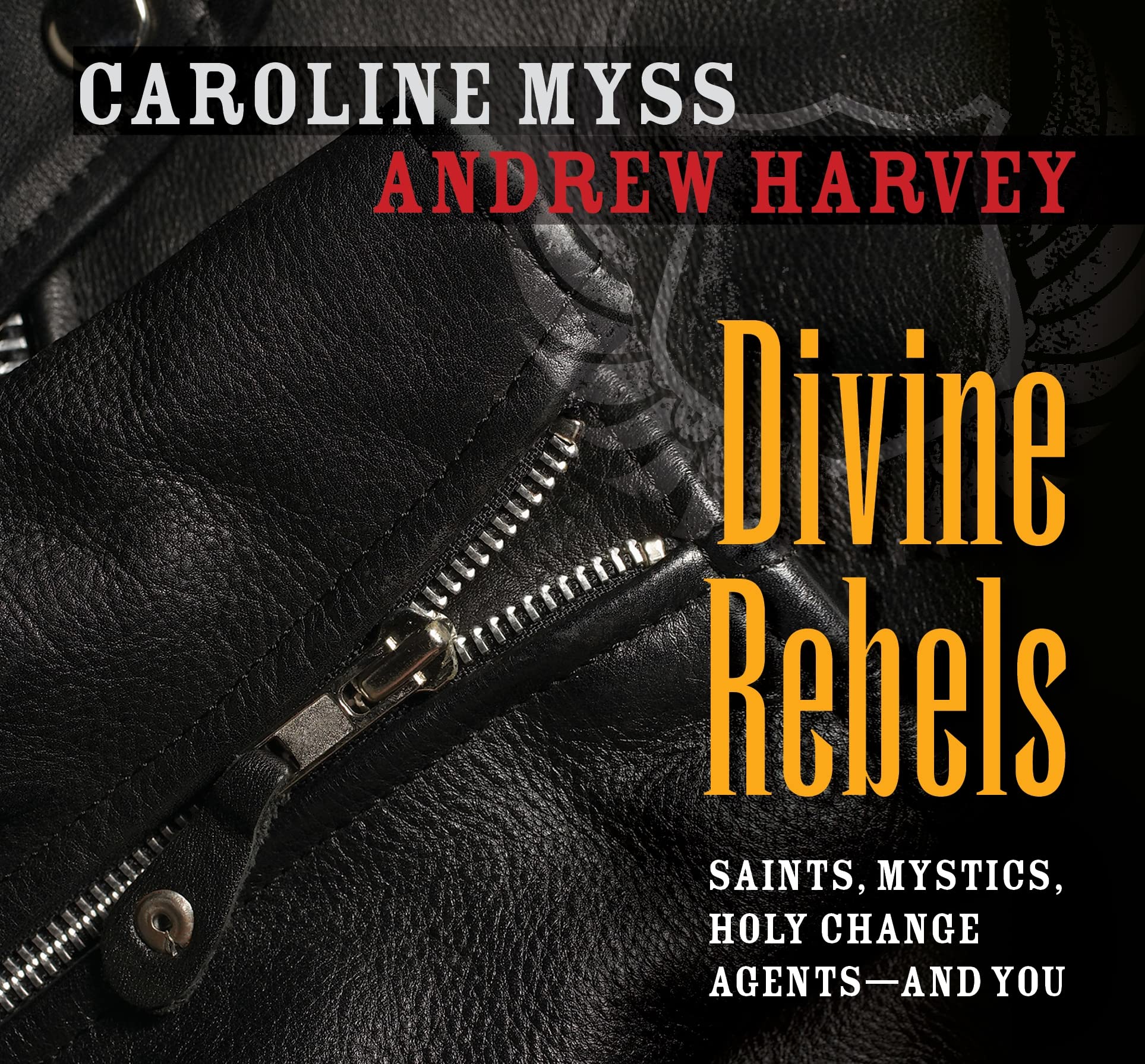 Divine Rebels: Saints, Mystics, Holy Change Agentsand You,Used