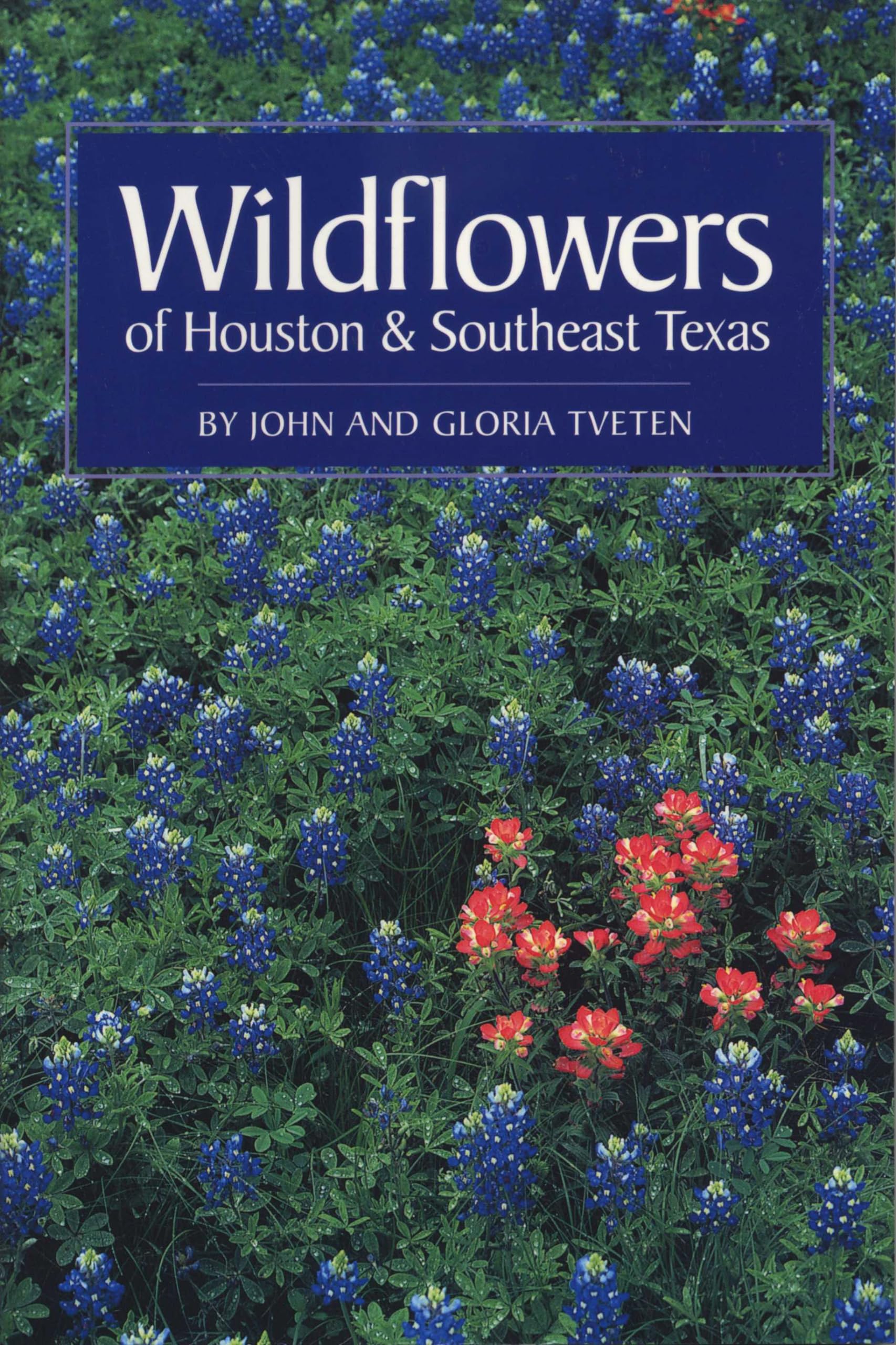 Wildflowers Of Houston And Southeast Texas