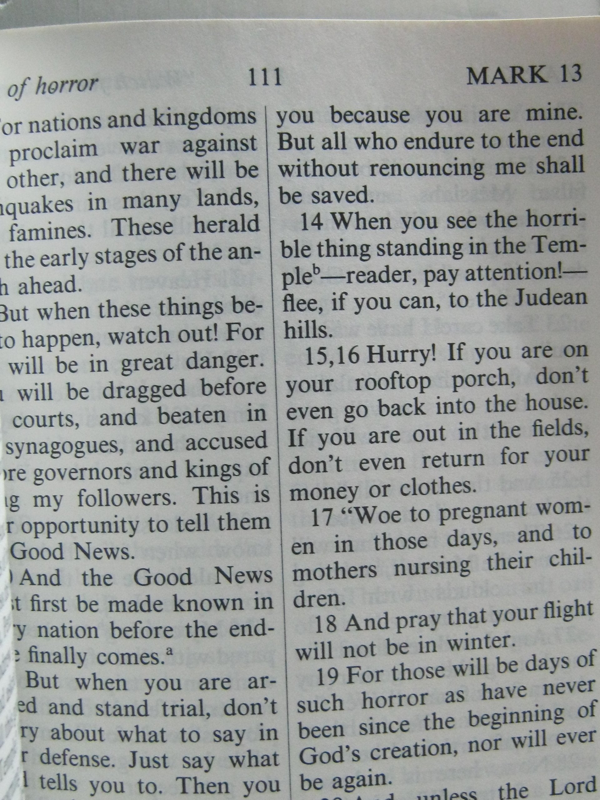 Tyndale Living New Testament - A Modern Translation for Daily Inspiration and Study