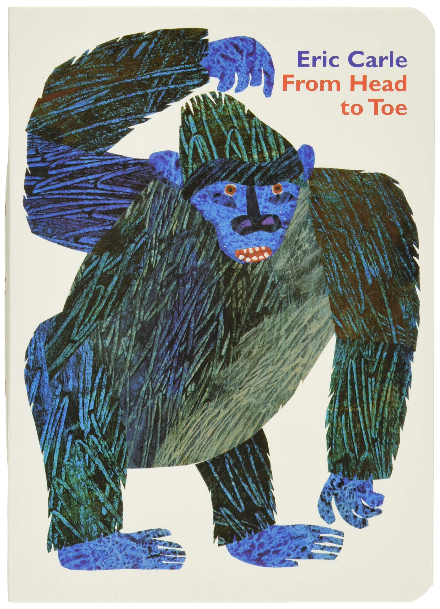From Head to Toe Board Book,Used