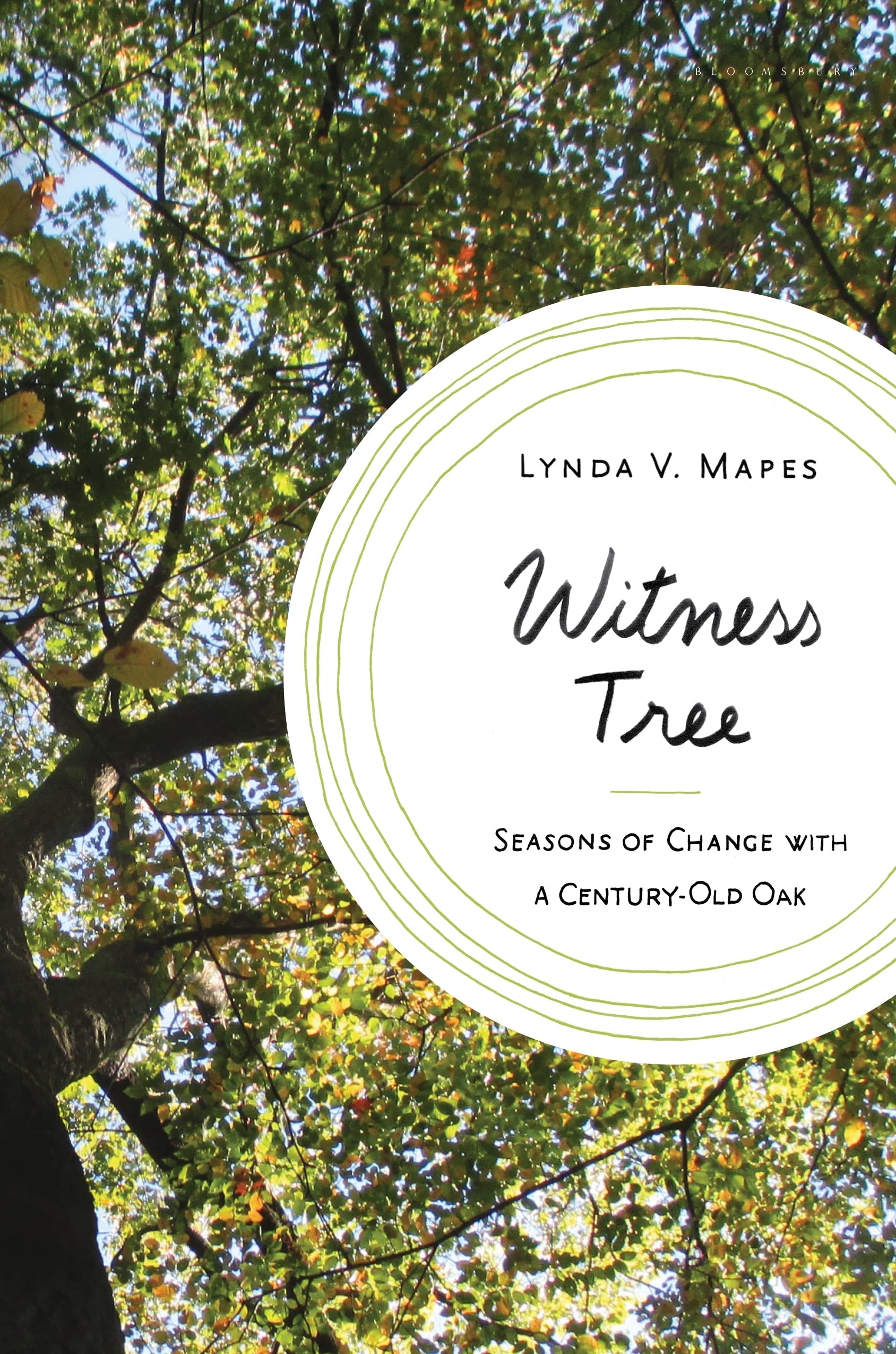 Witness Tree: Seasons of Change with a CenturyOld Oak,Used