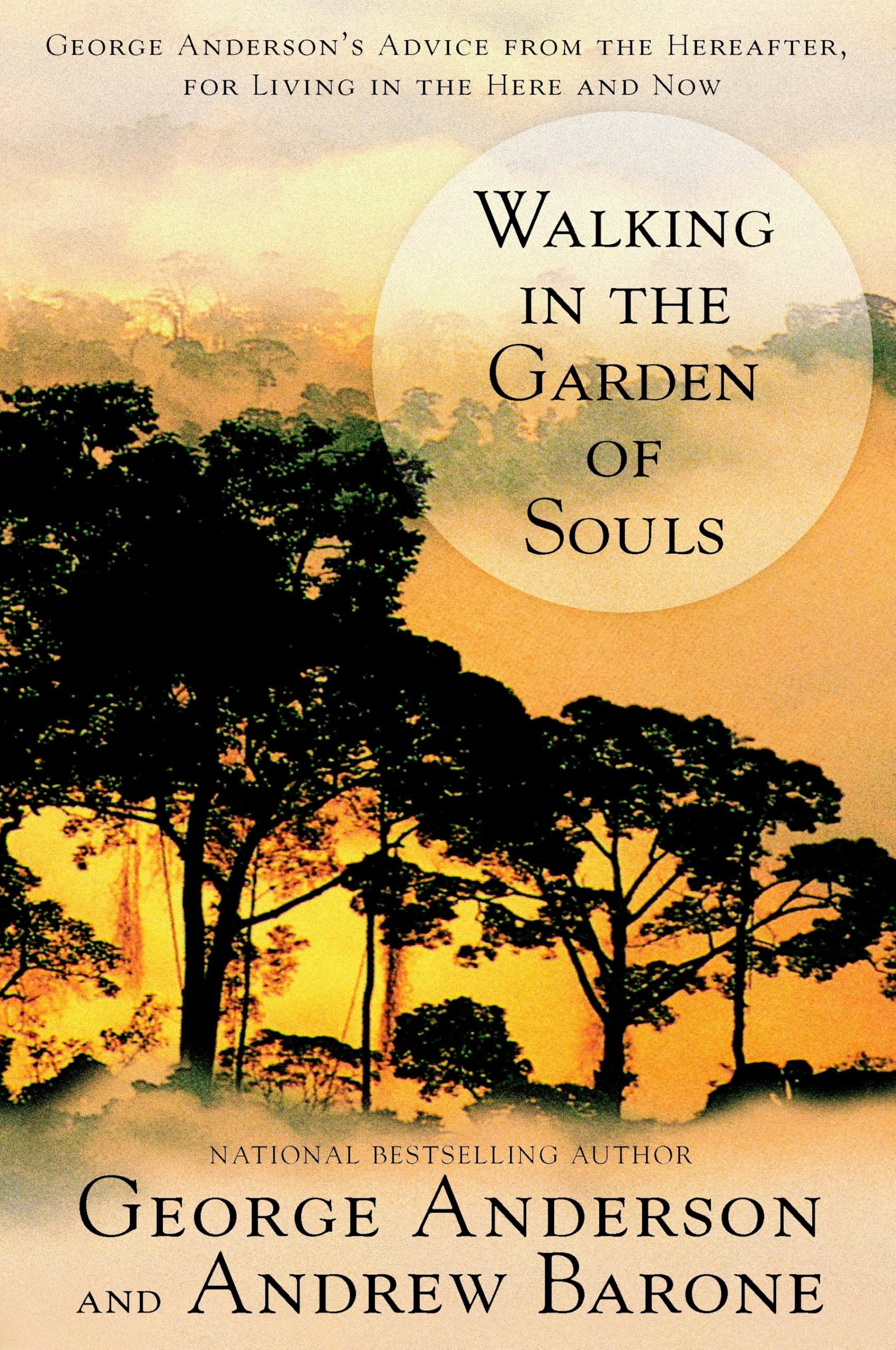 Walking in the Garden of Souls: George Anderson's Advice from the Hereafter for Living in he Here and Now,Used