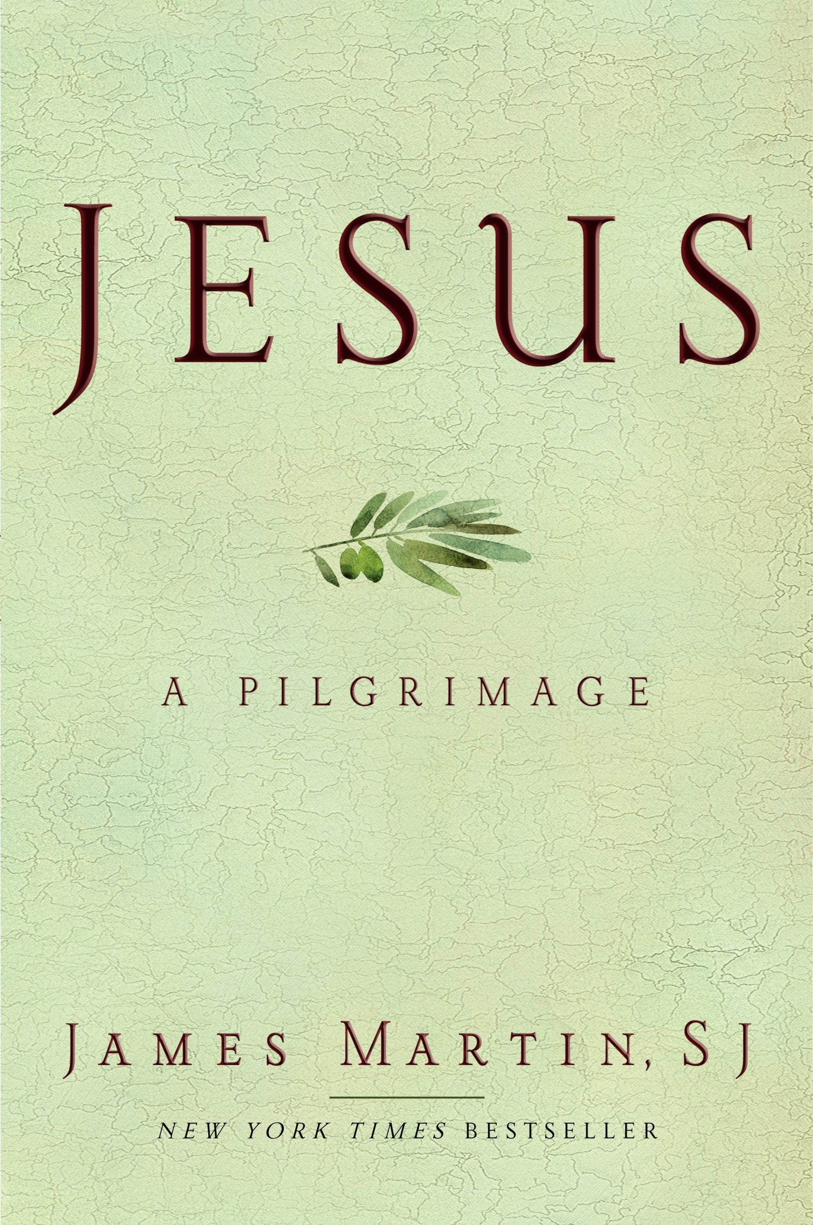 Jesus: A Pilgrimage,Used