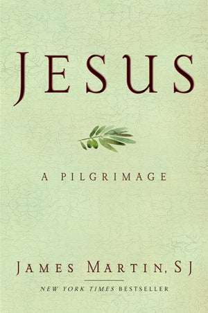 Jesus: A Pilgrimage,Used