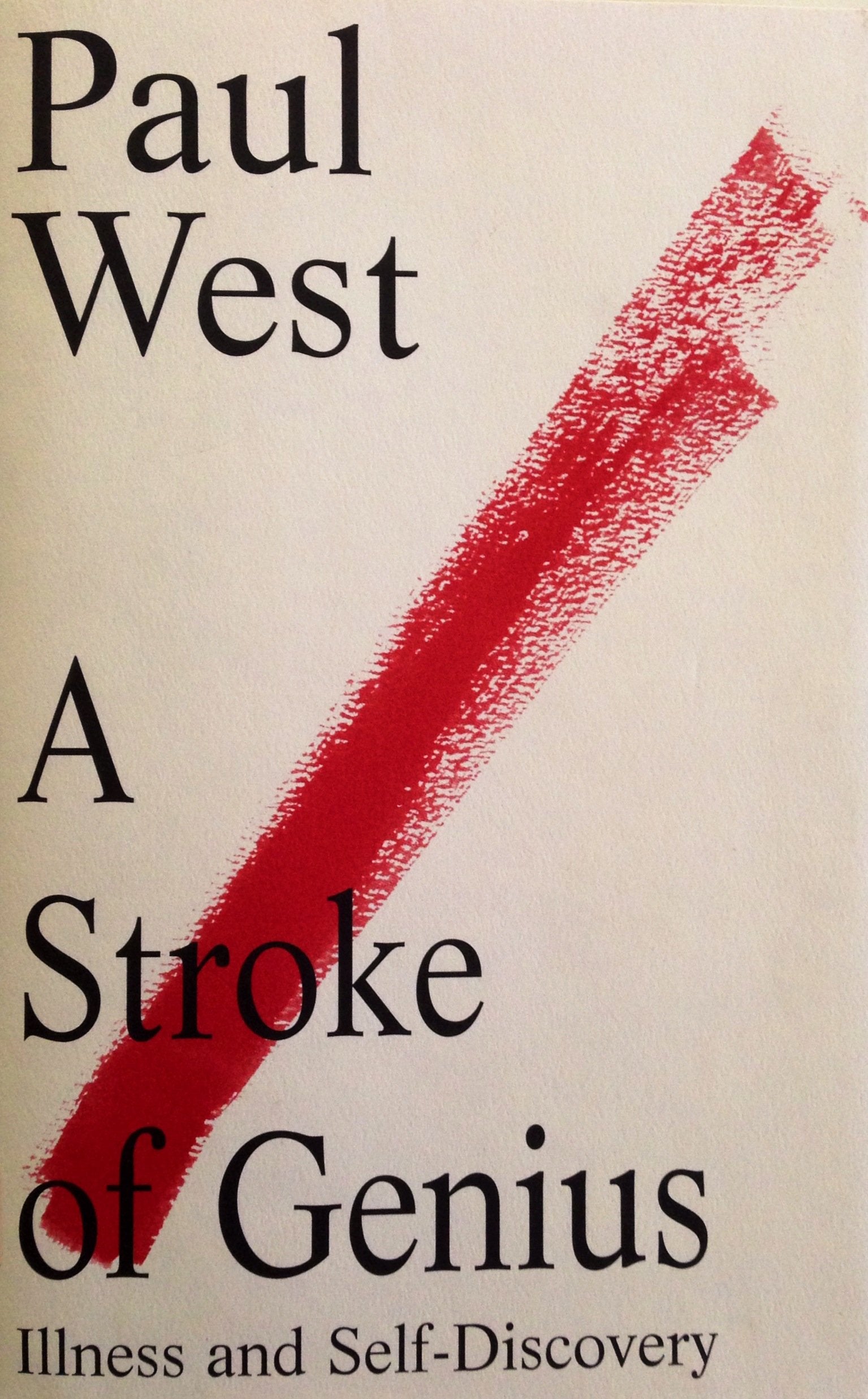 A Stroke Of Genius: Illness And Selfdiscovery,New