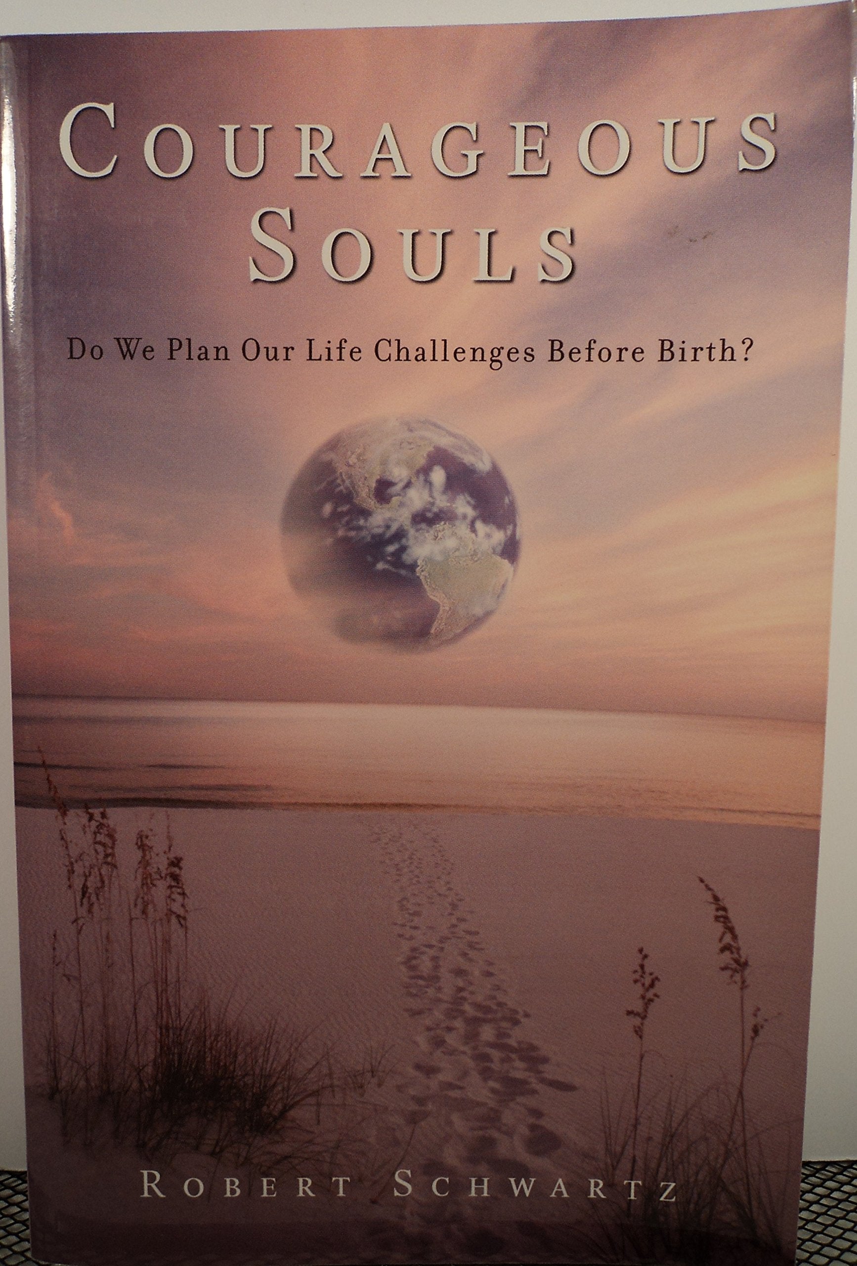 Courageous Souls: Do We Plan Our Life Challenges Before Birth?,Used