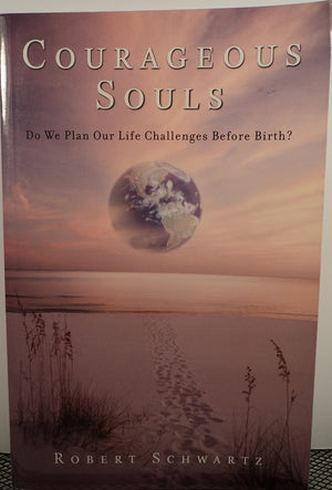 Courageous Souls: Do We Plan Our Life Challenges Before Birth?,Used