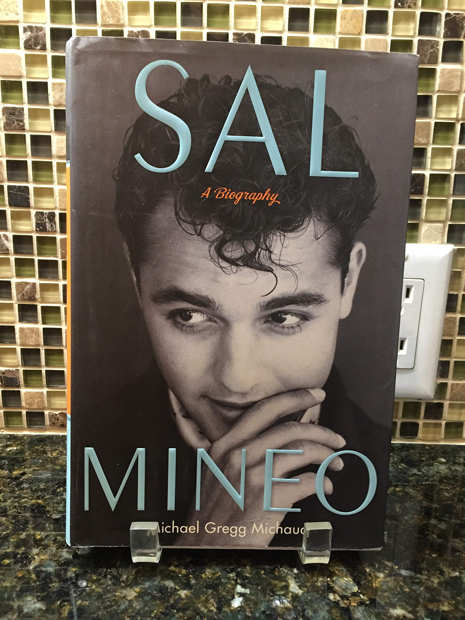 Sal Mineo: A Biography,New