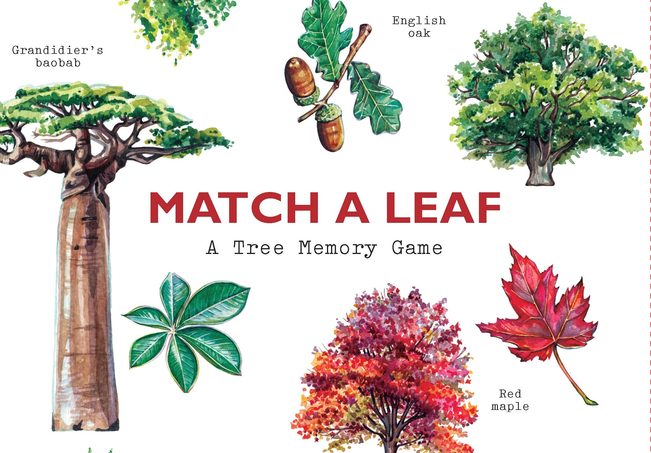 Match a Leaf: A Tree Memory Game,Used