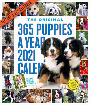 365 Puppiesayear Pictureaday Wall Calendar 2021,New