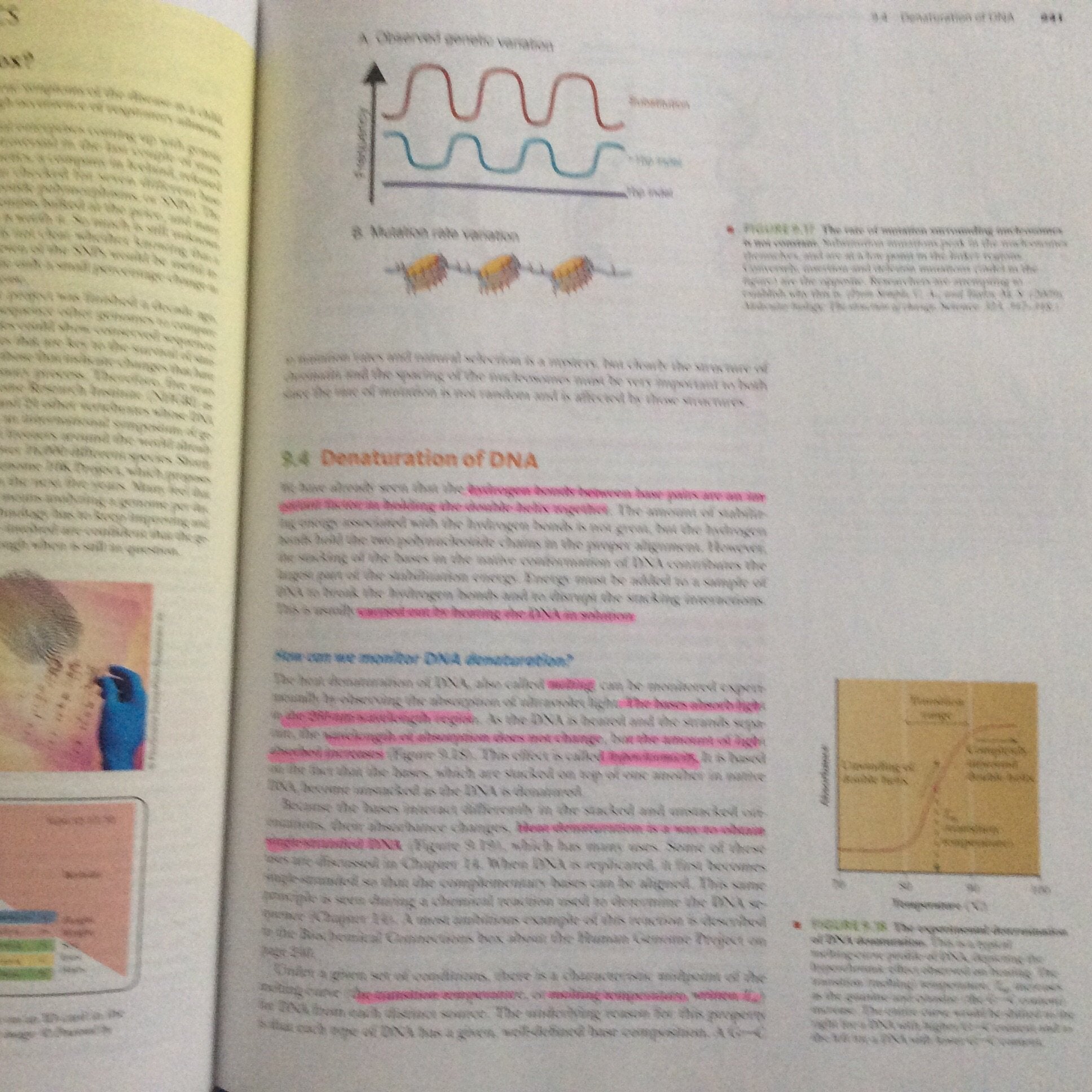 Biochemistry (Available Titles OWL),Used