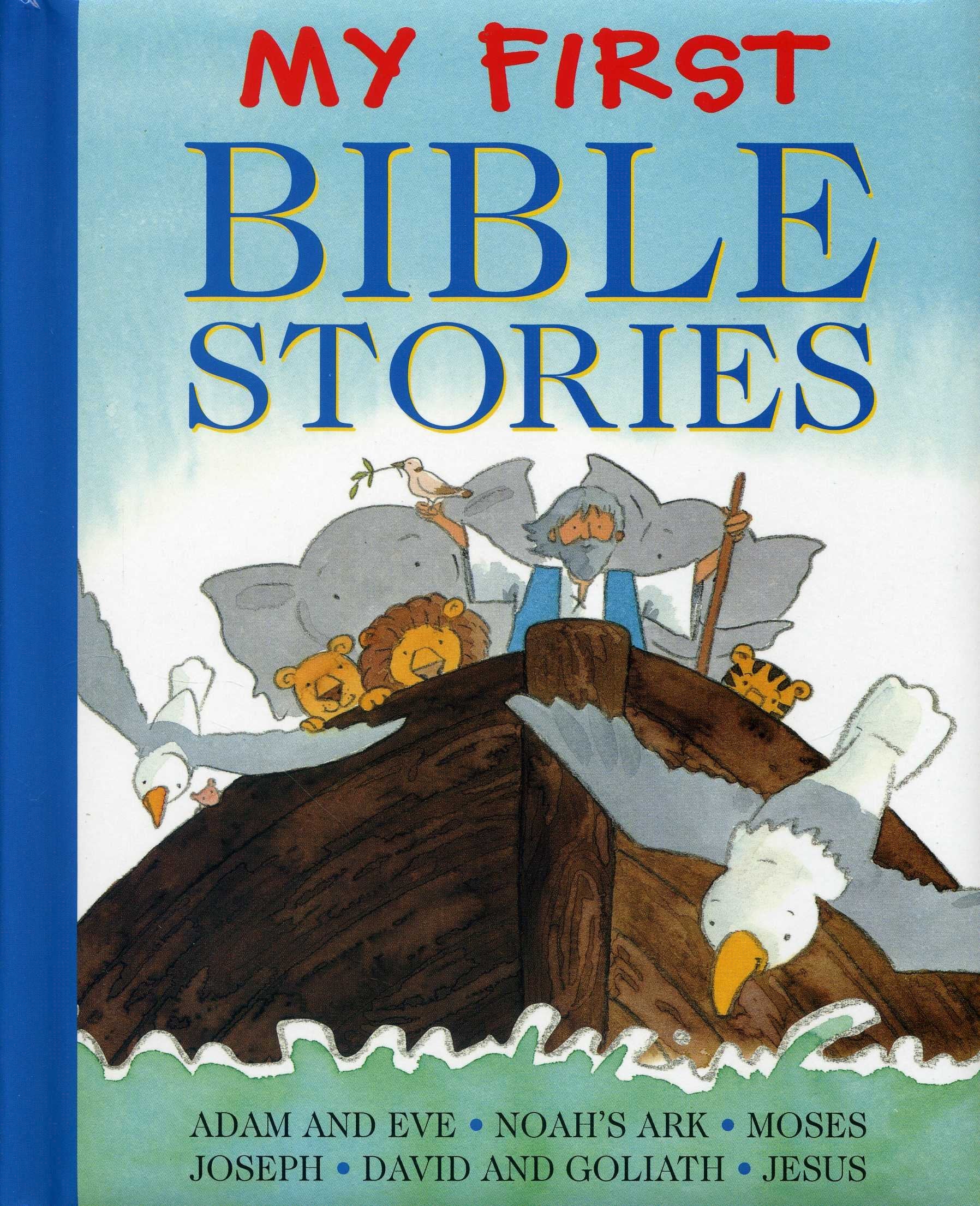 My First Bible Stories: Adam And Eve, Noah's Ark, Moses, Joseph, David And Goliath, Jesus,Used