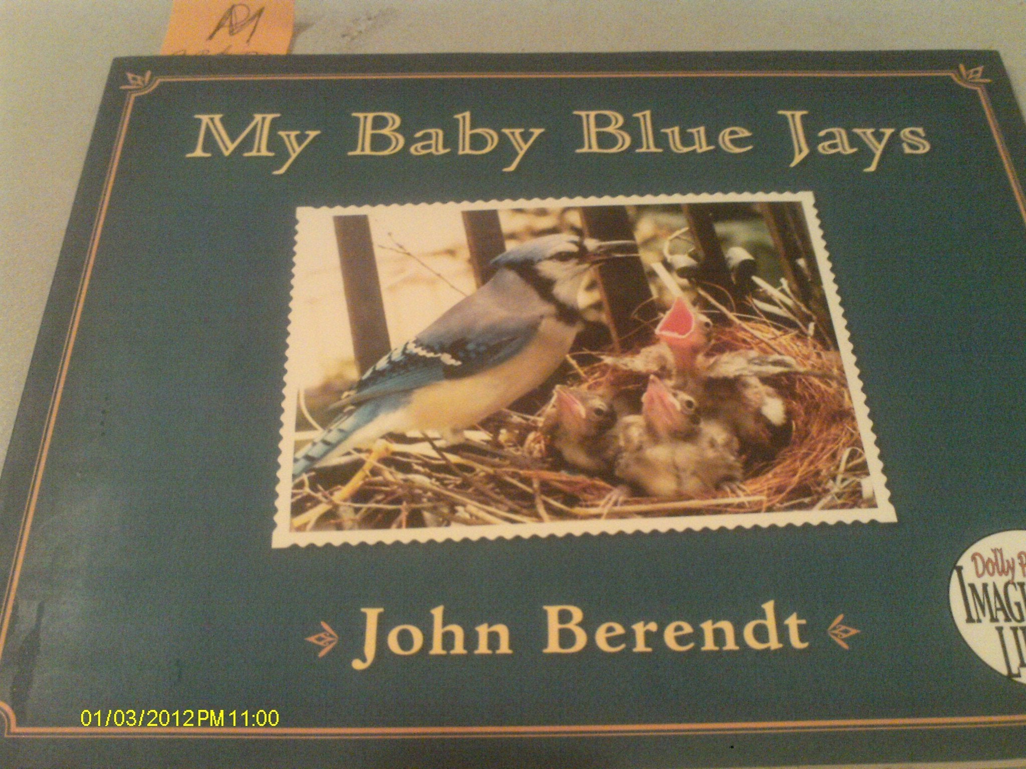 My Baby Blue Jays (Dolly Parton's Imagination Library),Used