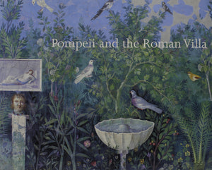 Pompeii and the Roman Villa : Art and Culture Around the Bay of Naples,Used