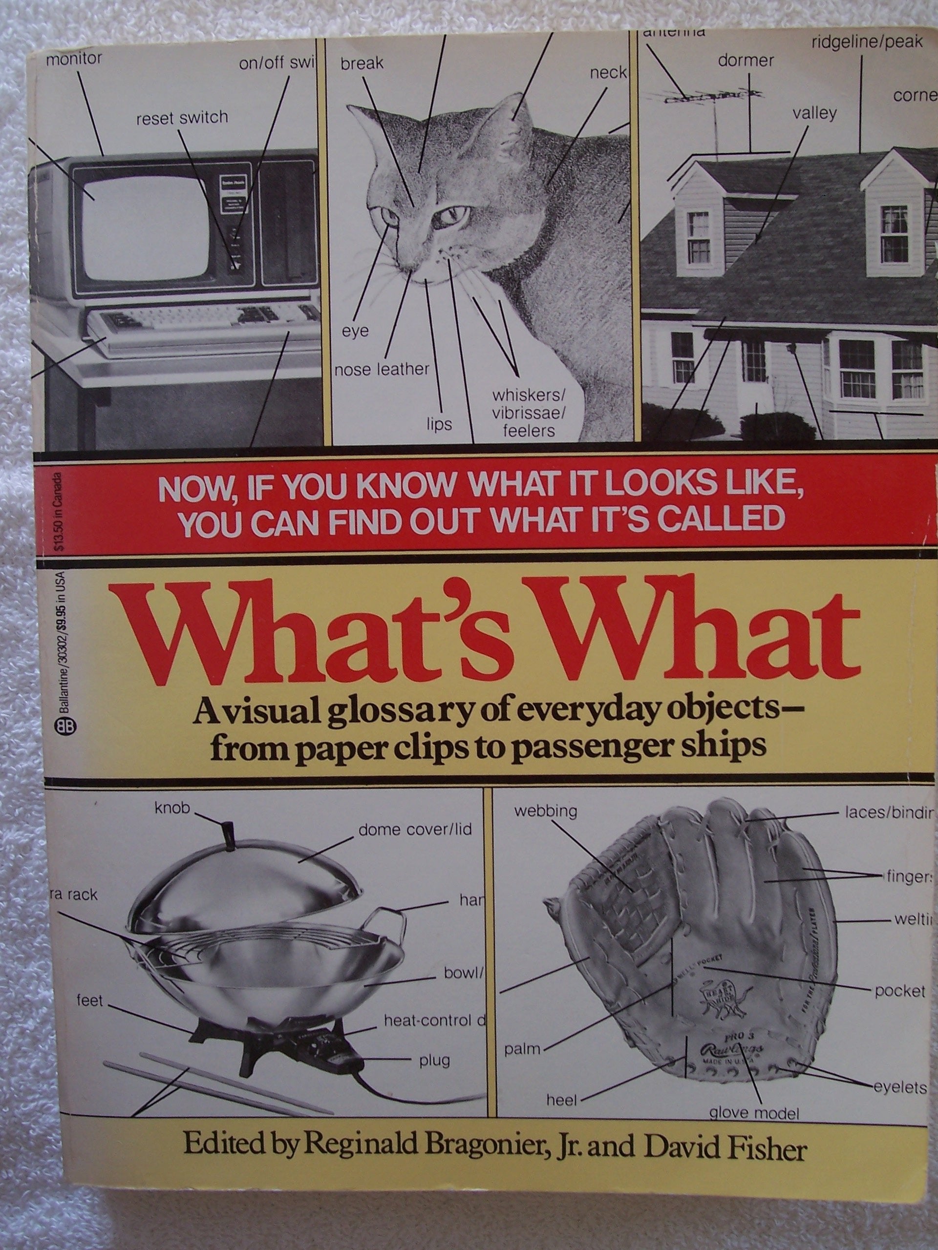 What's What: A Visual Glossary of the Physical World,Used