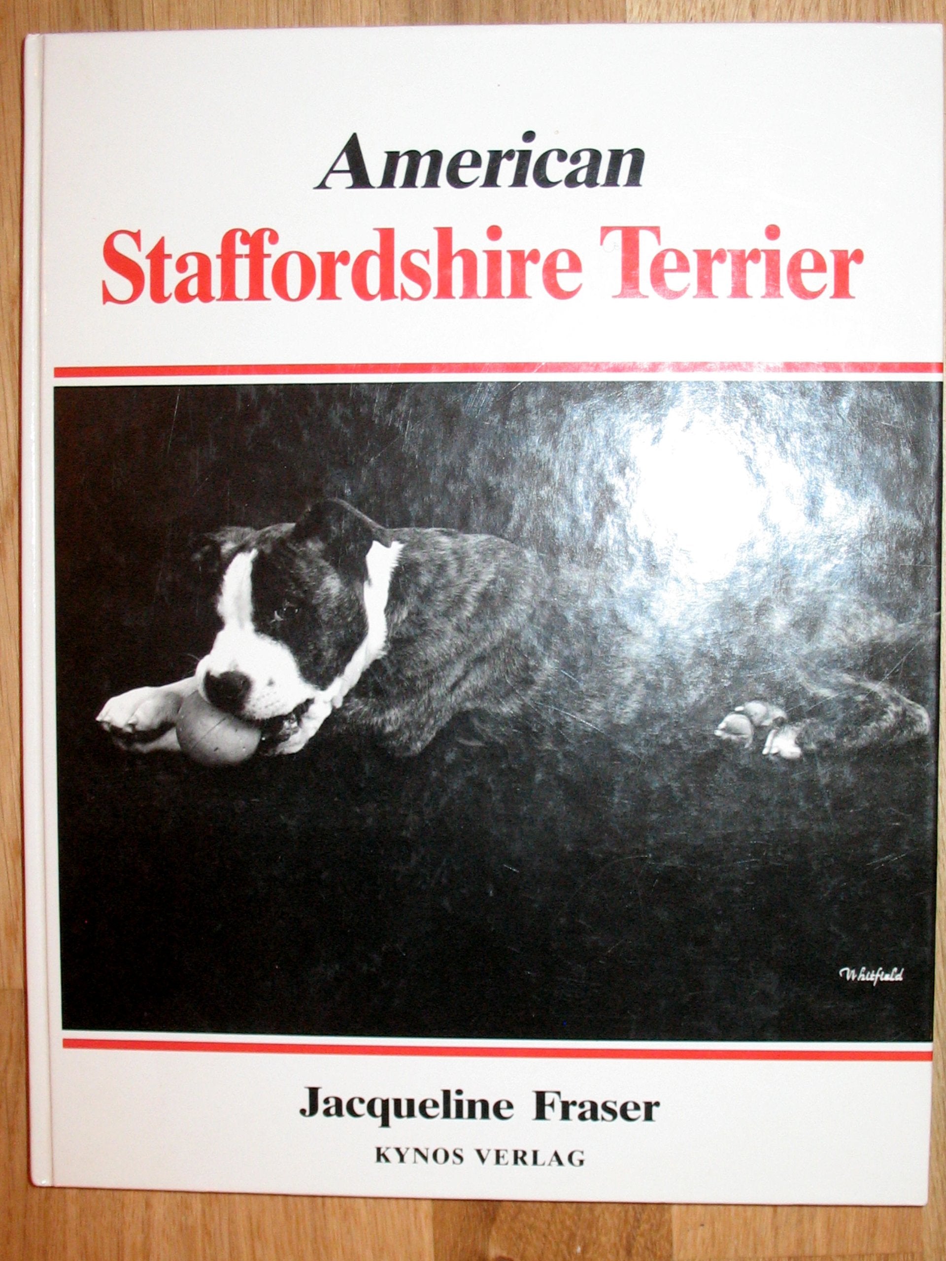 The American Staffordshire Terrier