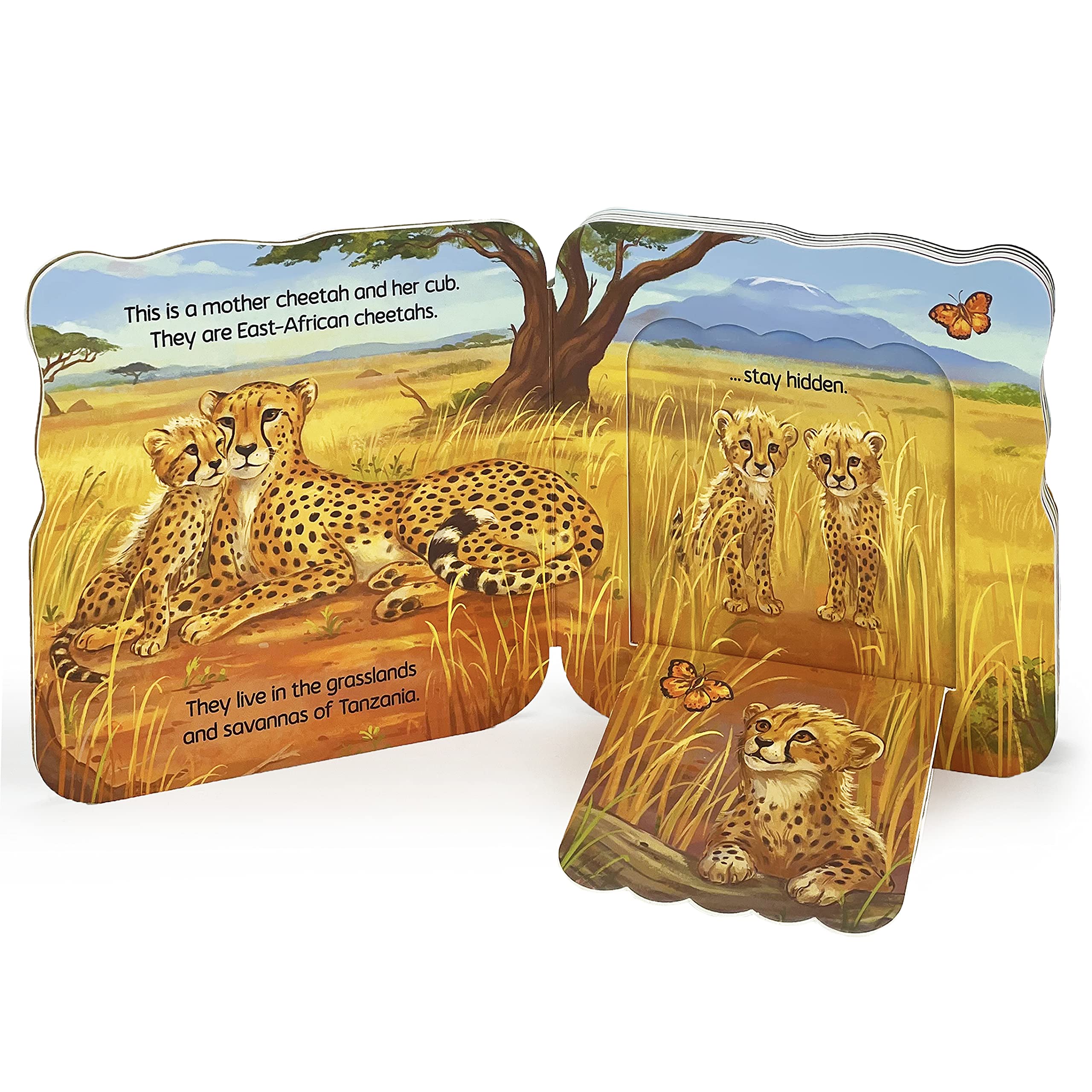 Cheetah (Jane & Me: Jane Goodall Institute Children'S Interactive Liftaflap Board Book)