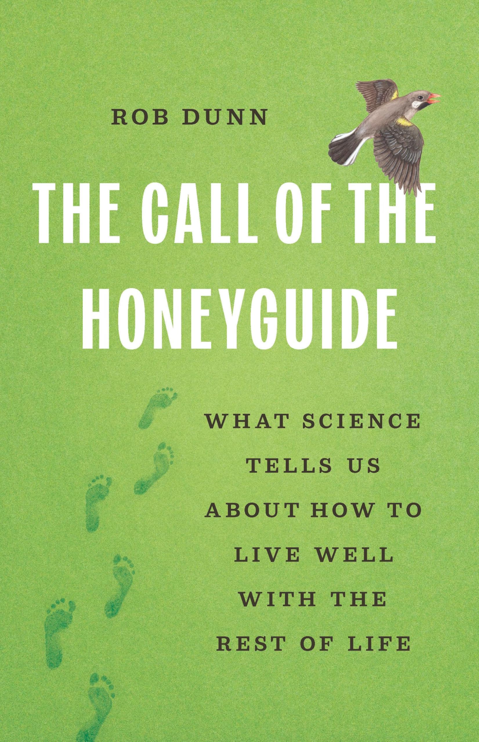Call Of The Honeygd