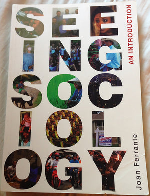 Seeing Sociology: An Introduction (Available Titles CourseMate),Used