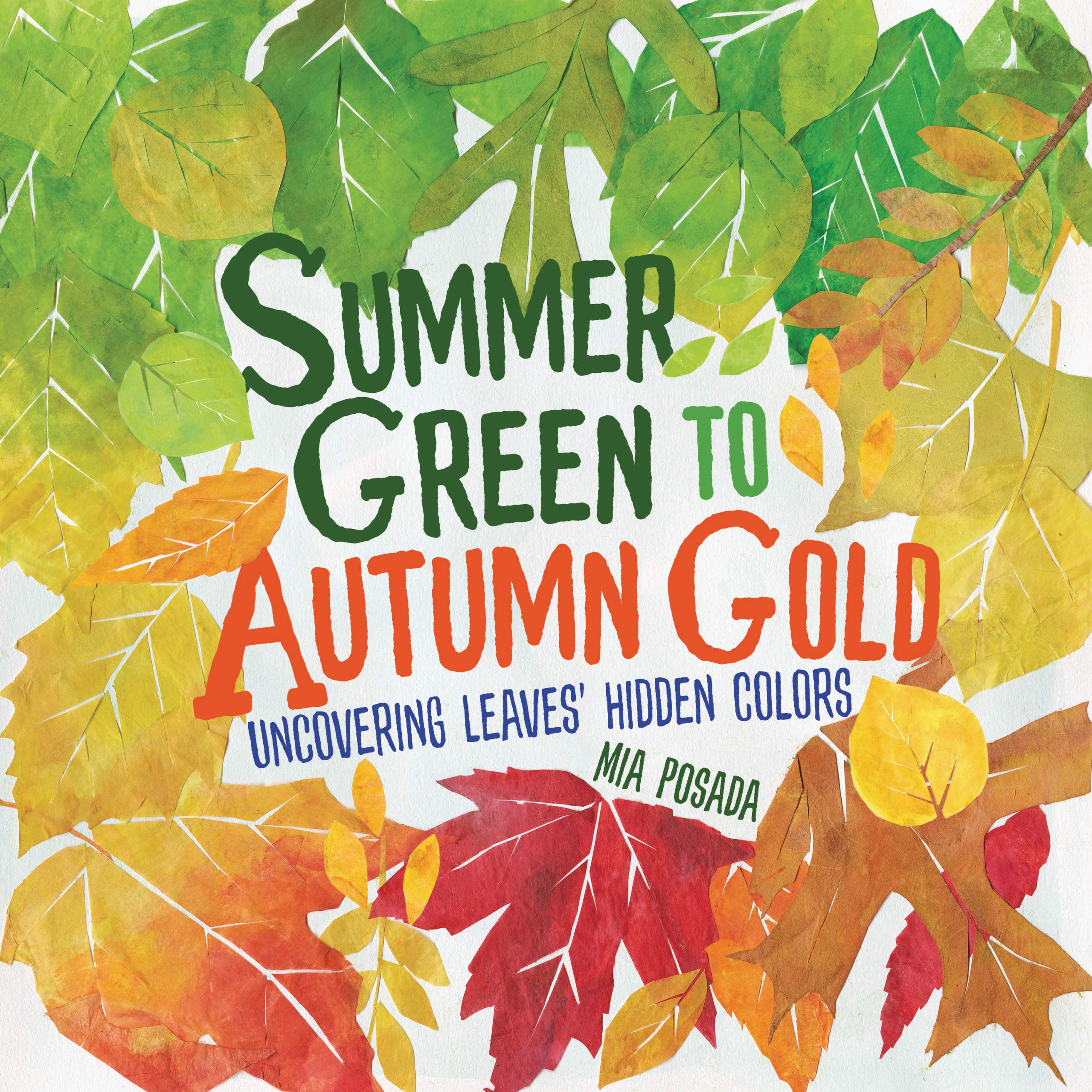 Summer Green to Autumn Gold: Uncovering Leaves' Hidden Colors,Used