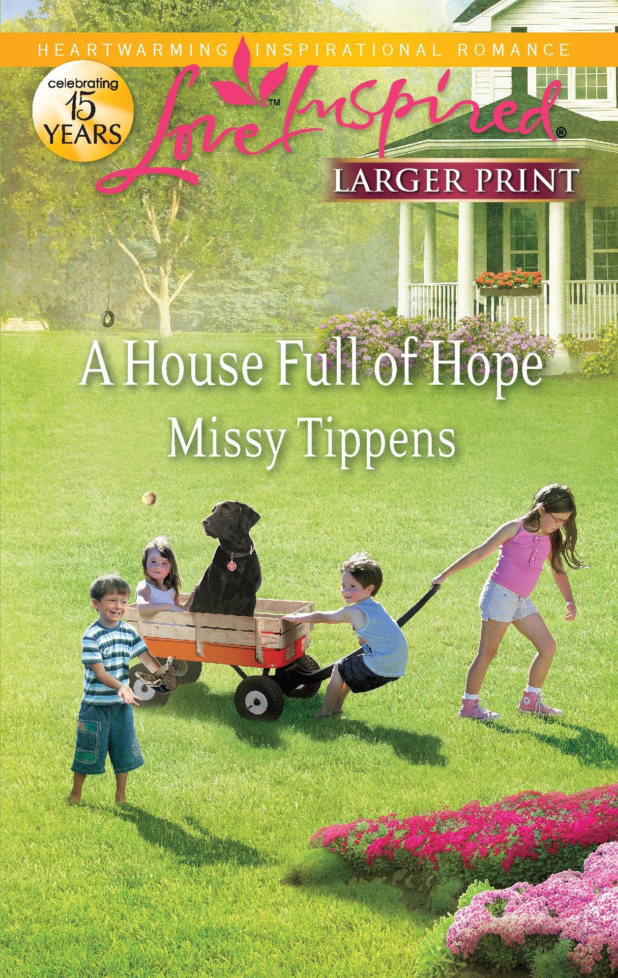 A House Full of Hope (Love Inspired),Used