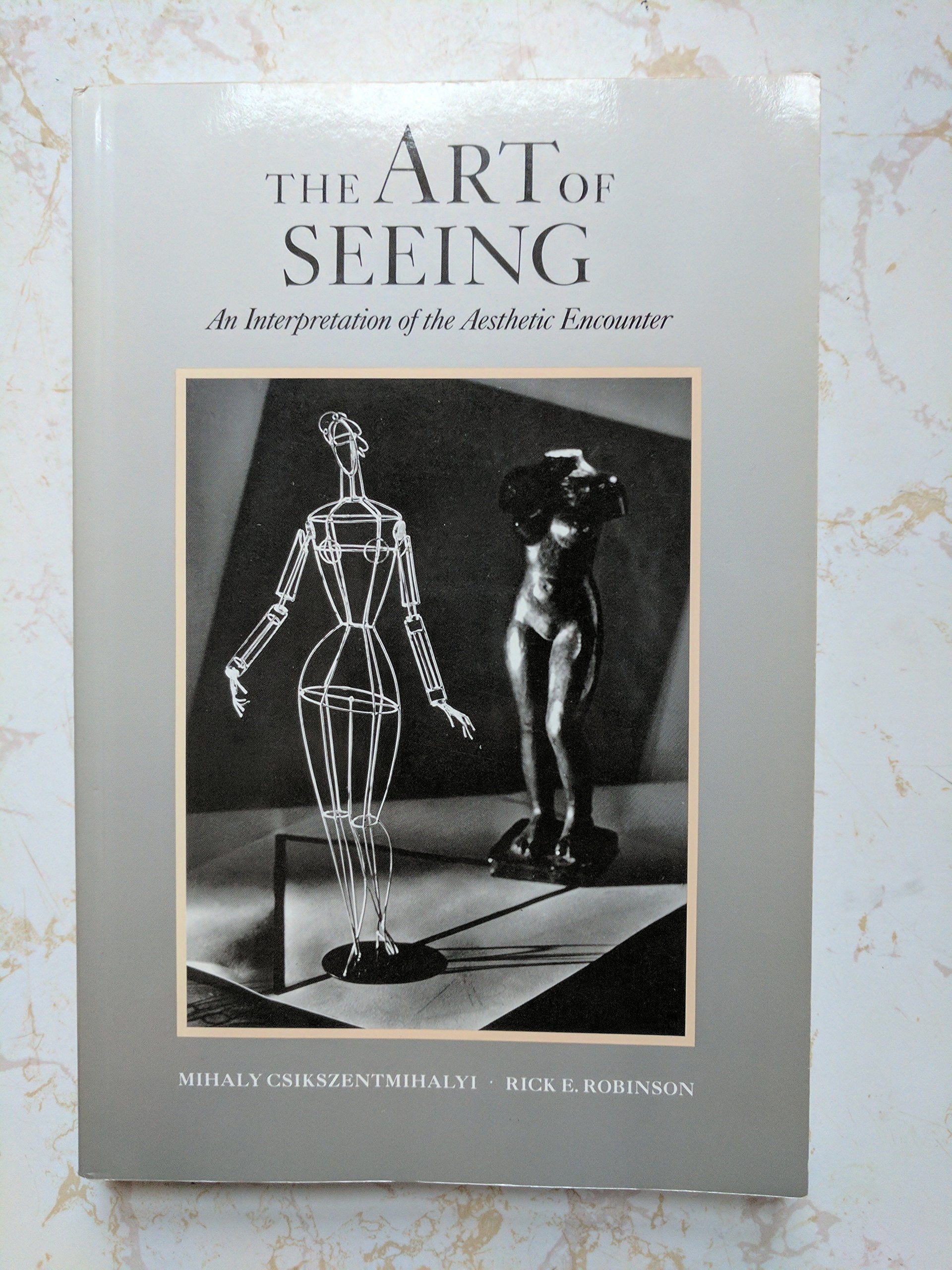 The Art of Seeing: An Interpretation of the Aesthetic Encounter,Used