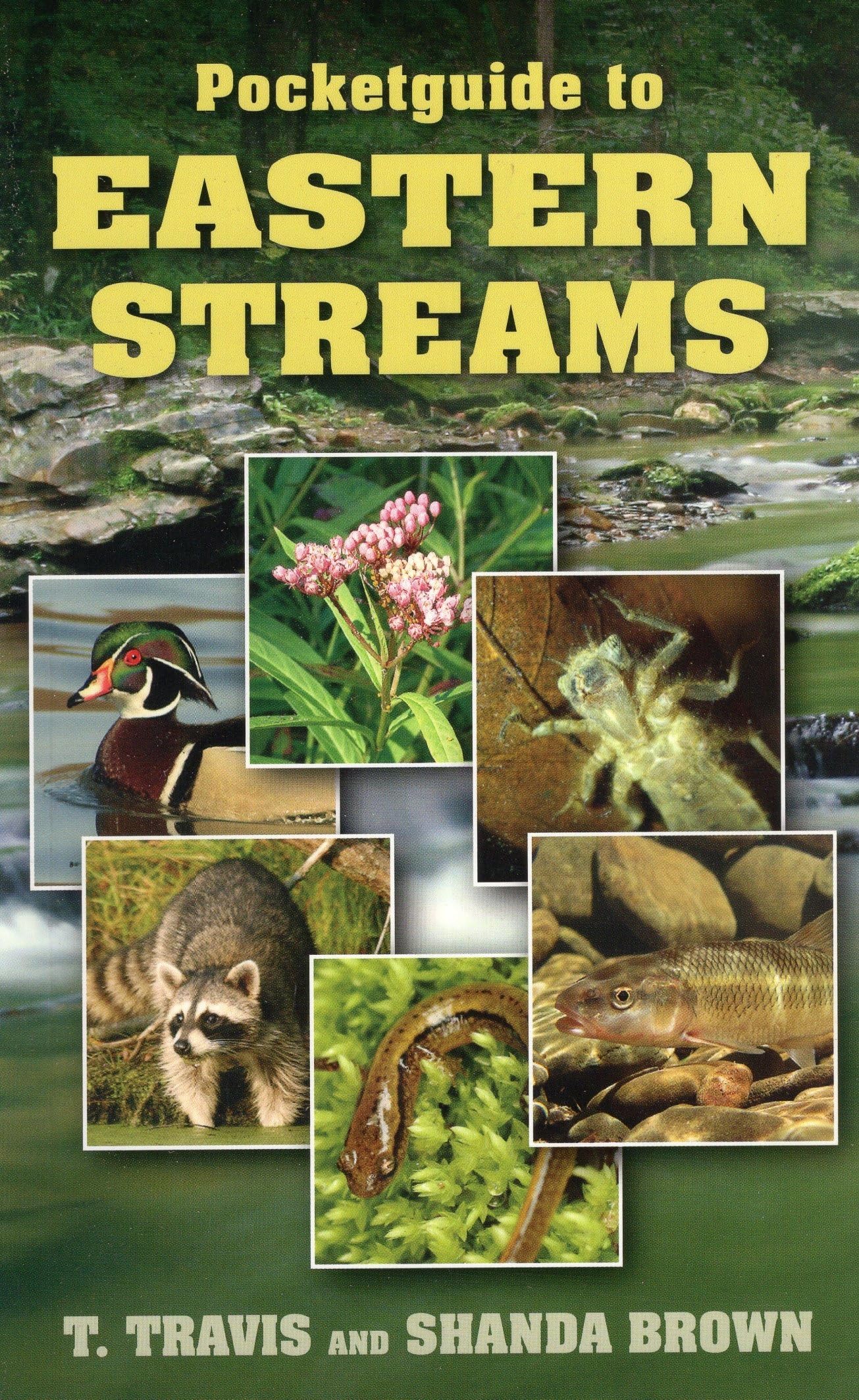 Pocketguide To Eastern Streams,Used