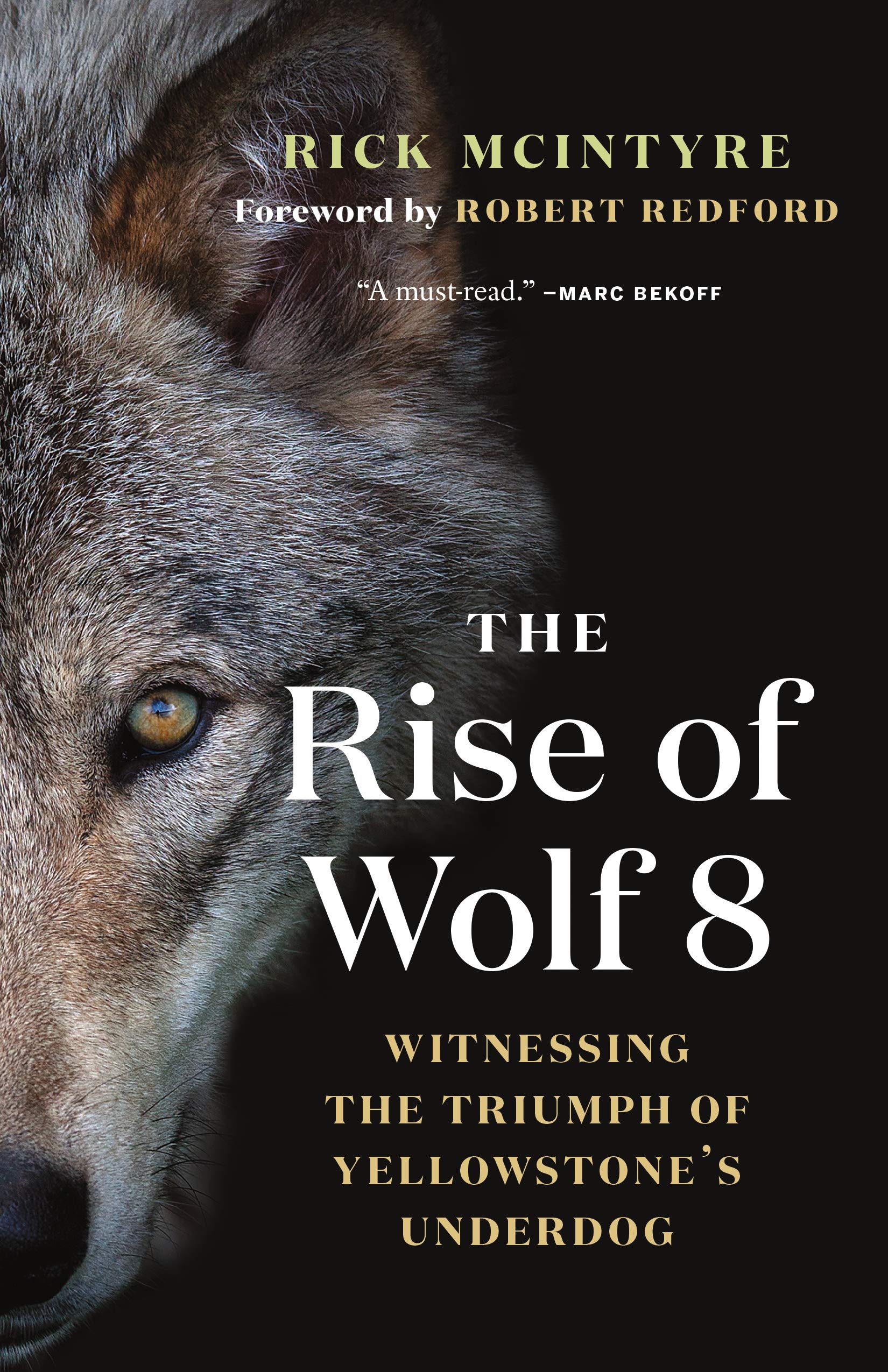 The Rise of Wolf 8: Witnessing the Triumph of Yellowstone's Underdog (The Alpha Wolves of Yellowstone, 1),Used
