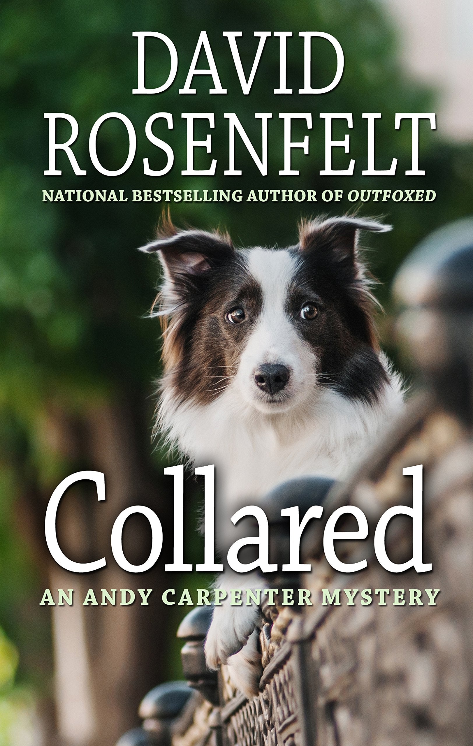 Collared (An Andy Carpenter Mystery),Used
