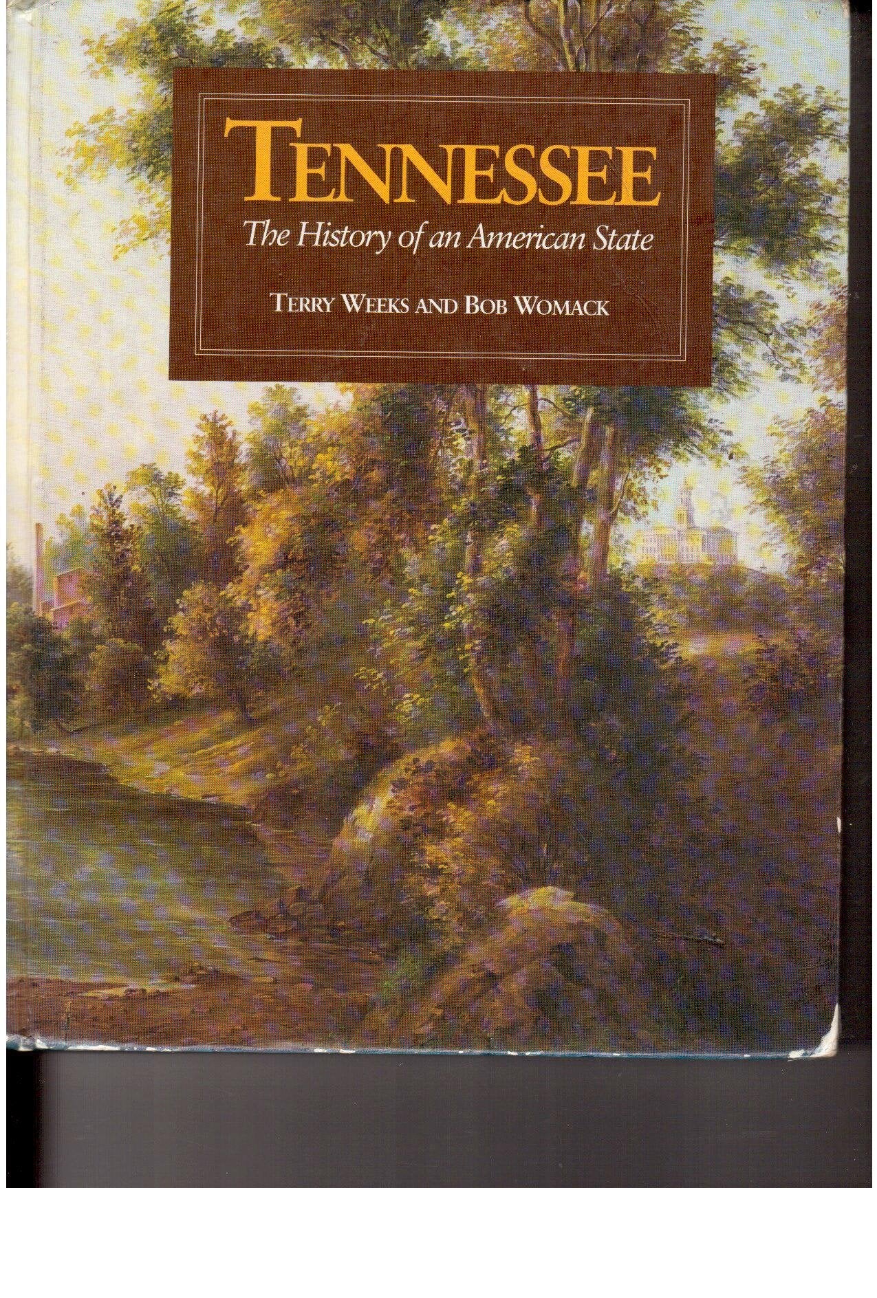 Tennessee: The History of an American State,Used