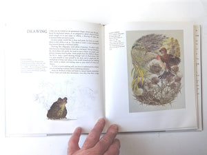 Painting For Calligraphers,Used