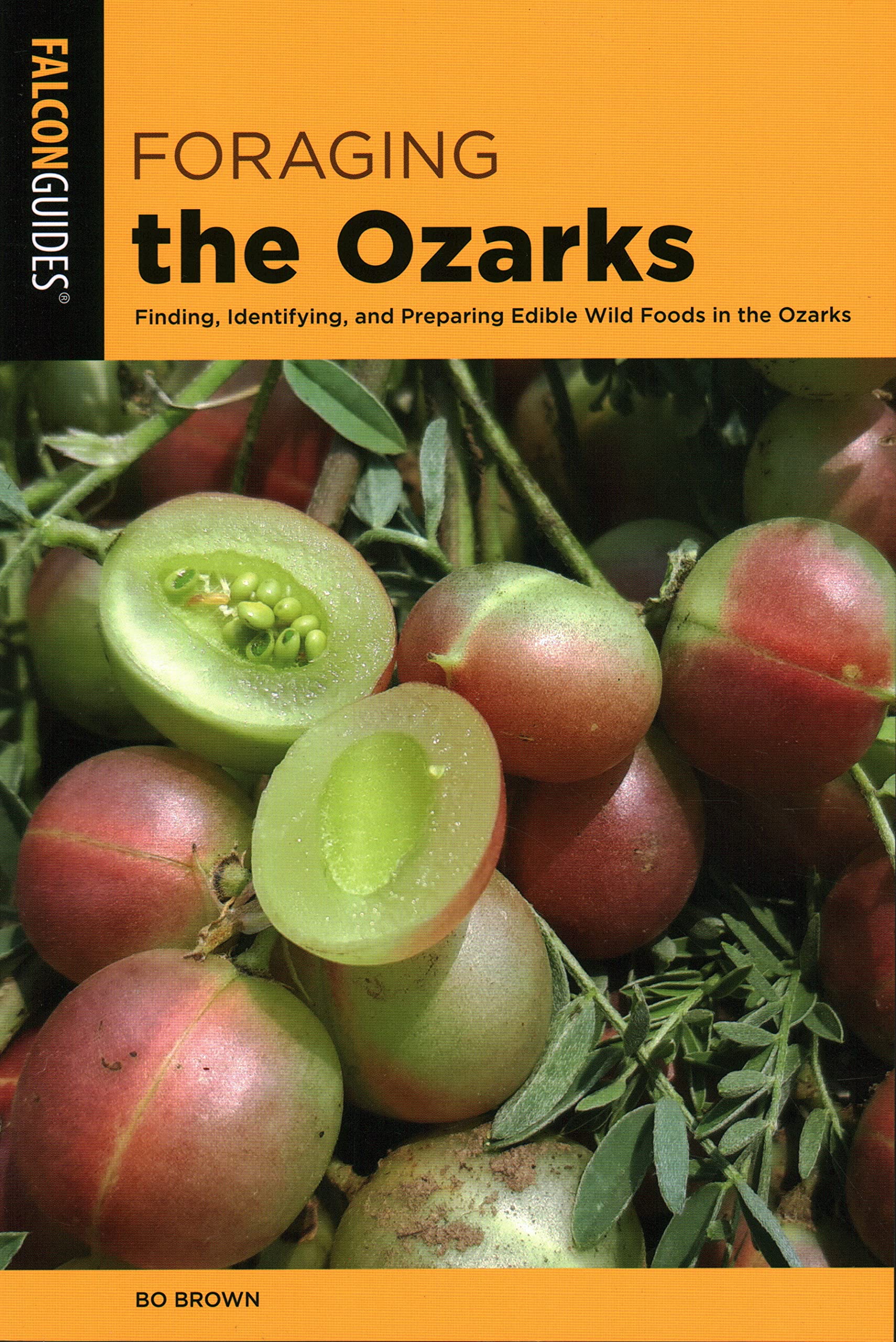 Foraging the Ozarks: Finding, Identifying, and Preparing Edible Wild Foods in the Ozarks (Foraging Series),Used