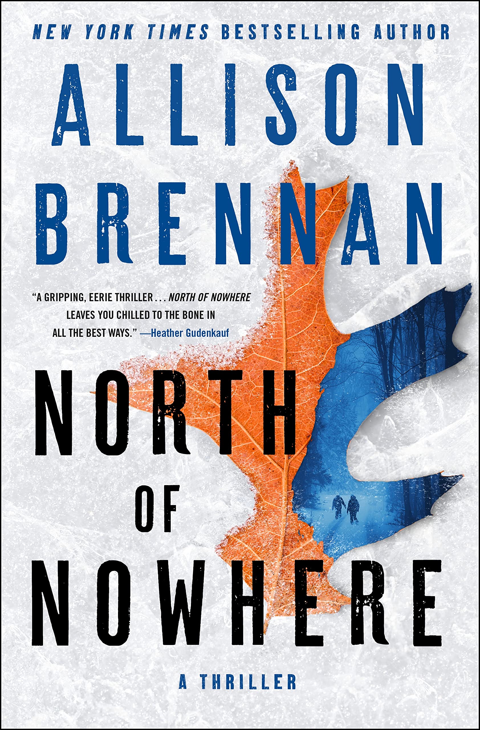 North Of Nowhere: A Thriller,Used