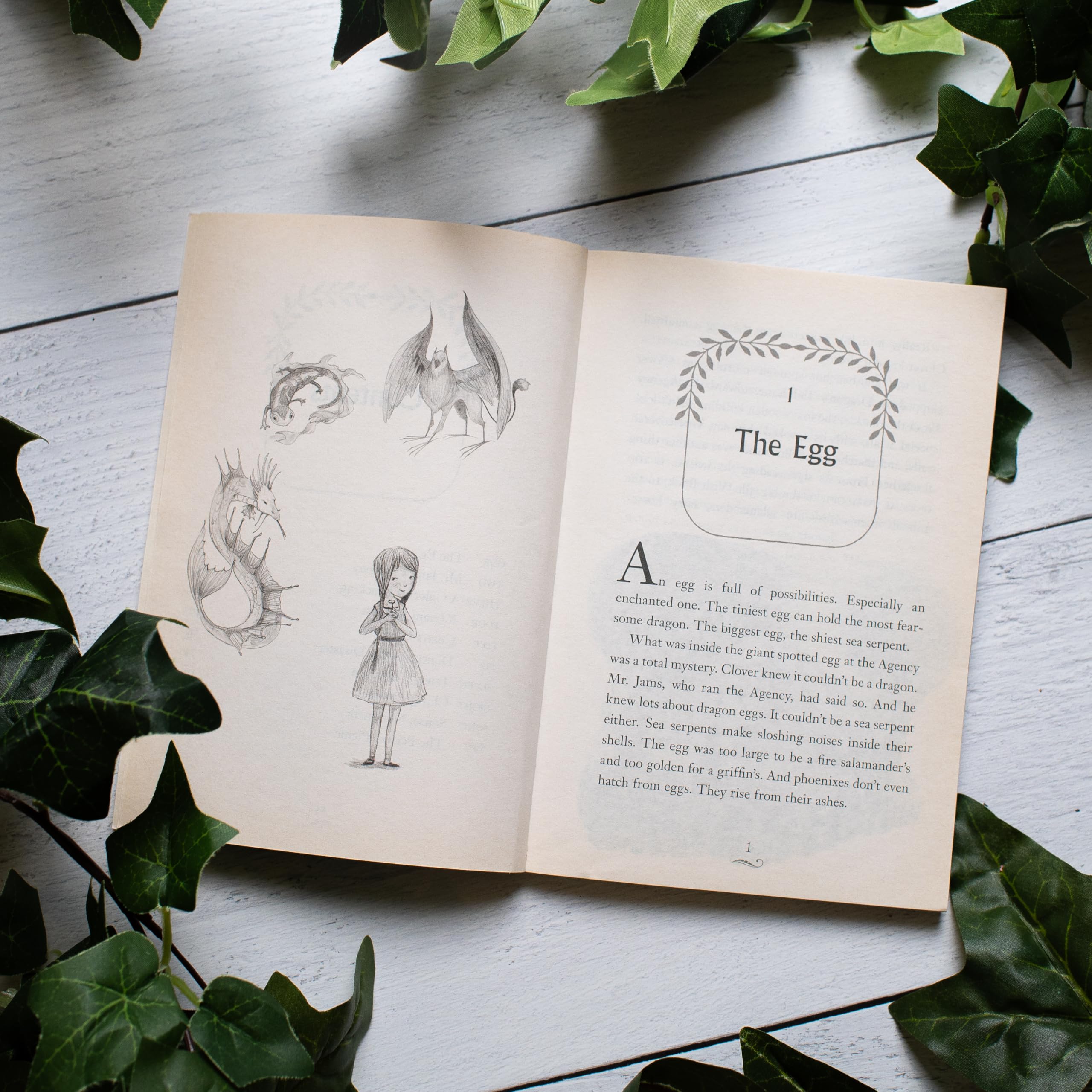 The Enchanted Egg (The Magical Animal Adoption Agency, 2),Used