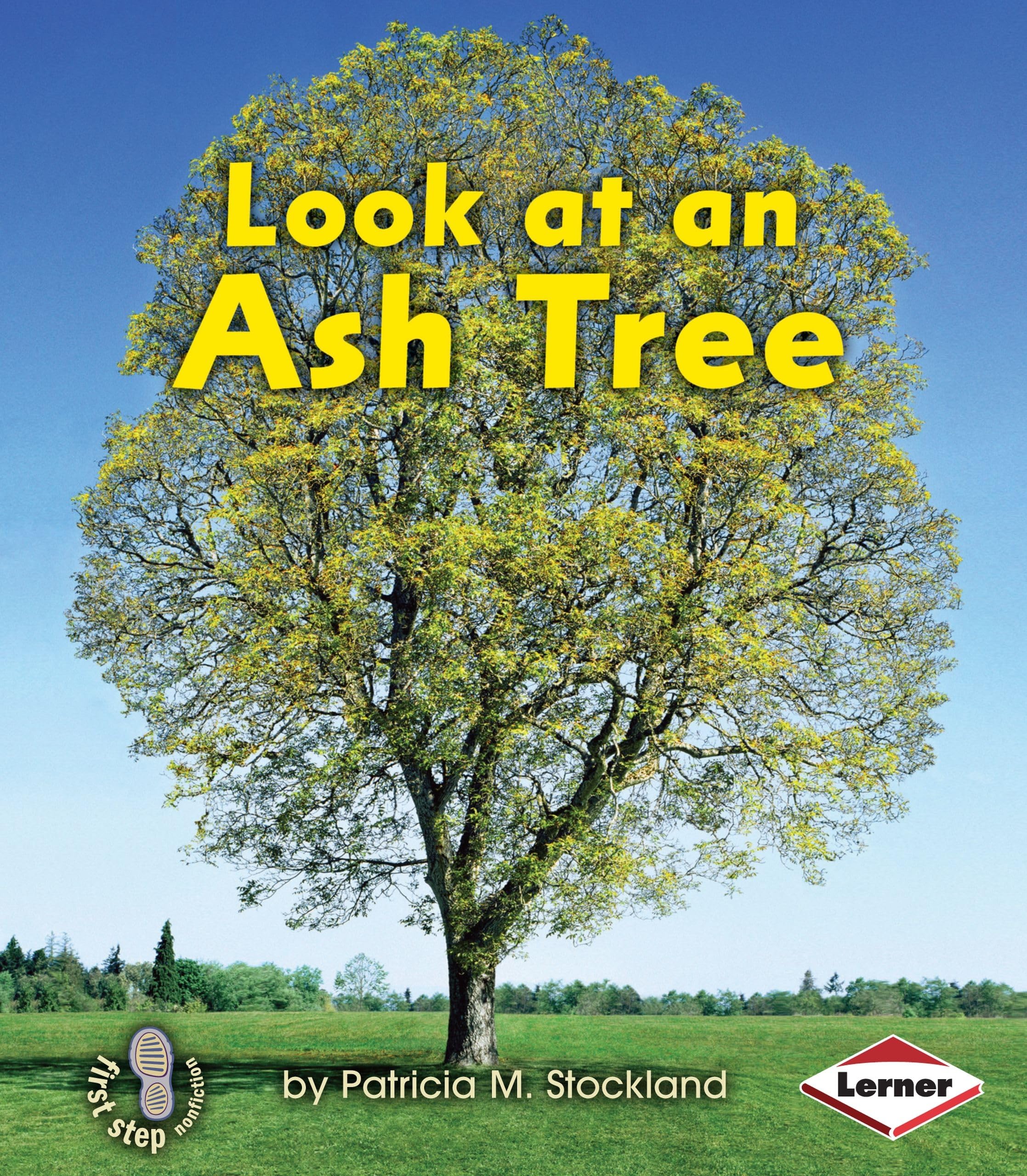 Look At An Ash Tree (First Step Nonfiction  Look At Trees),Used