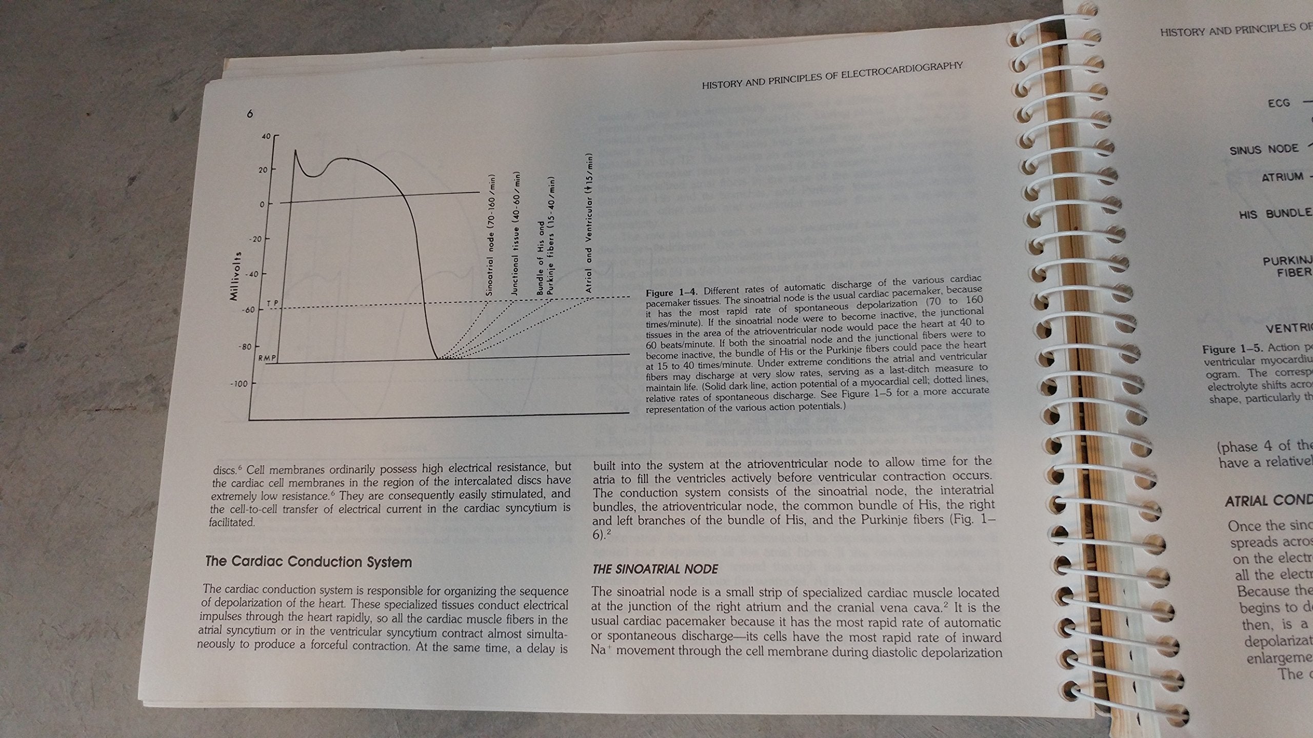 Bolton's Handbook of Canine and Feline Electrocardiography,Used