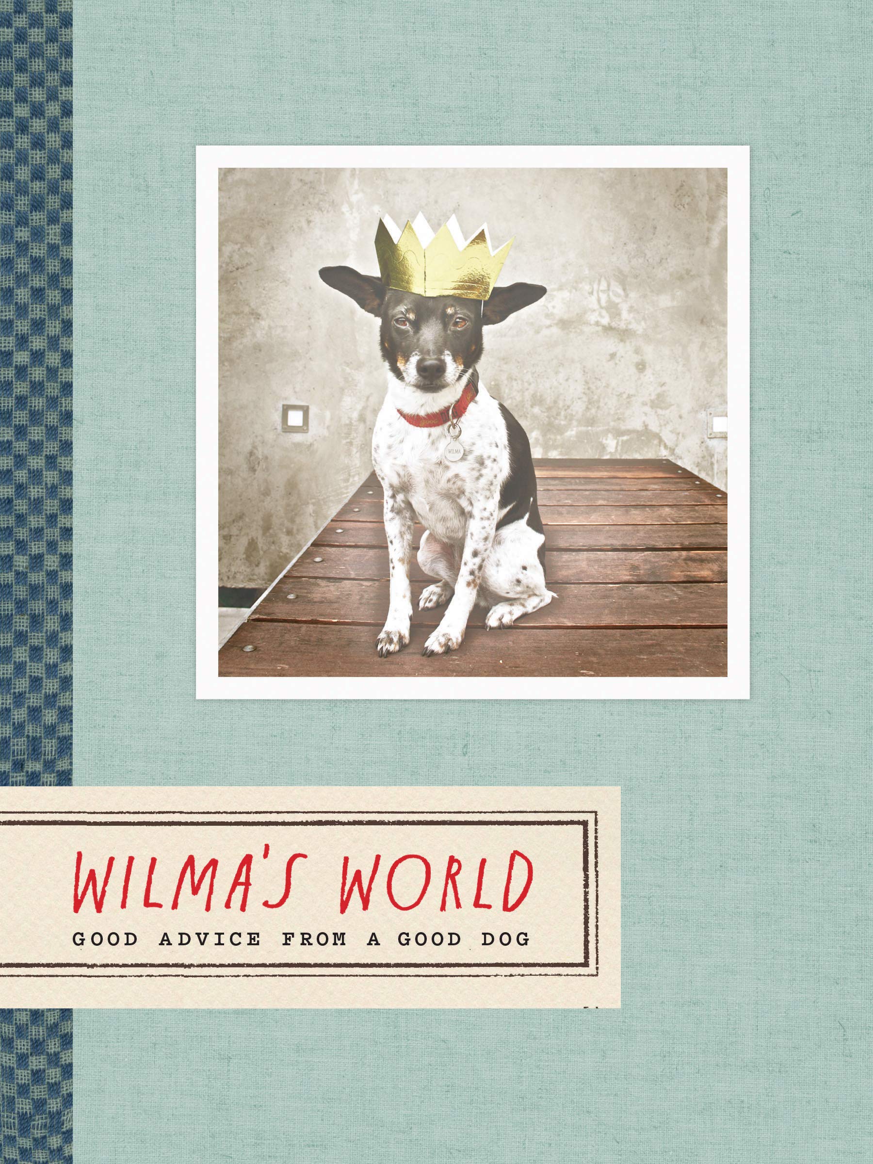 Wilma'S World: Good Advice From A Good Dog