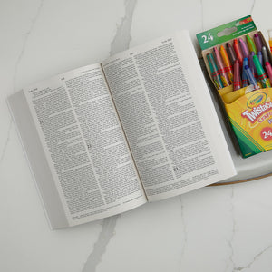 Icb, Gift And Award Bible, Softcover, Purple: International Children'S Bible