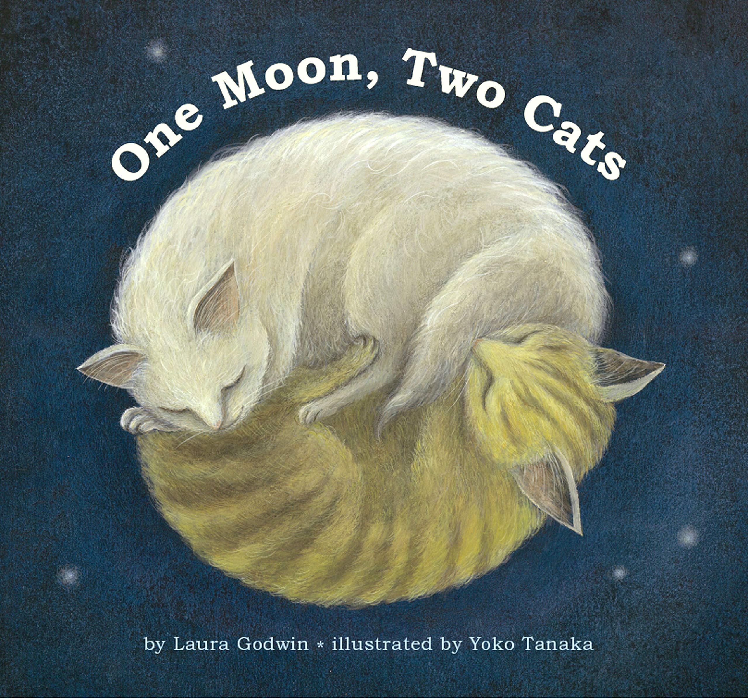 One Moon, Two Cats,Used