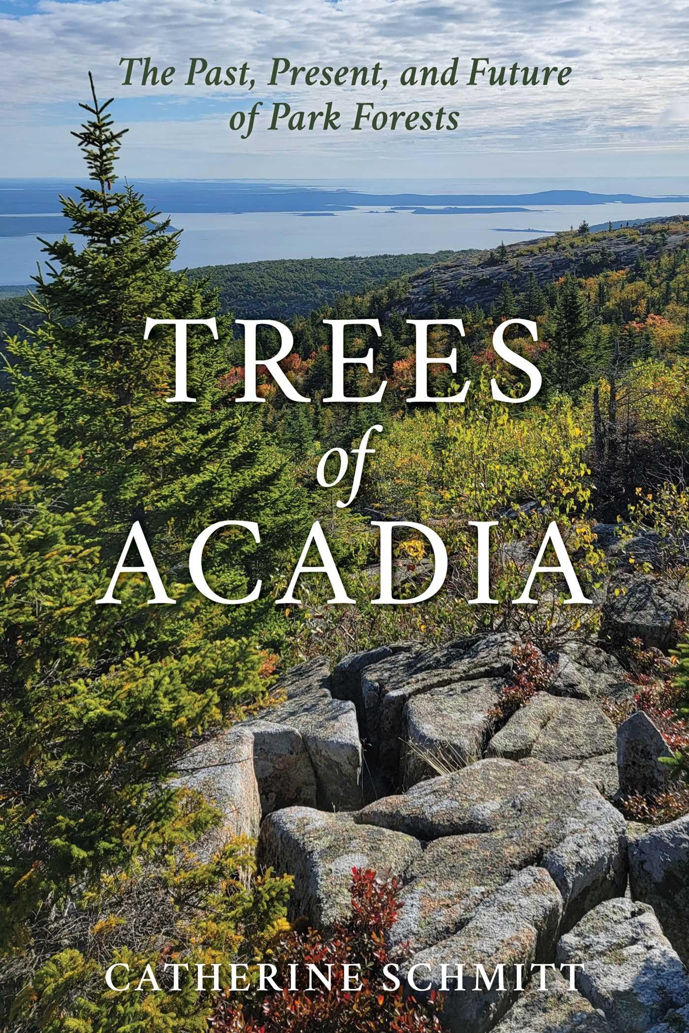 Trees Of Acadia: The Past, Present, And Future Of Park Forests