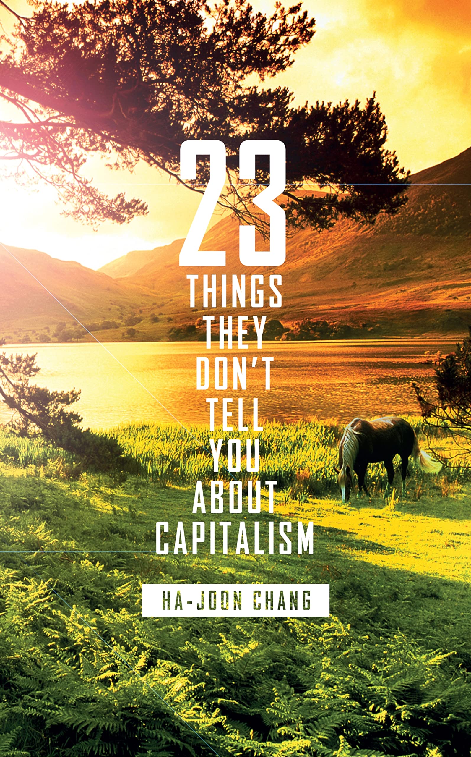 23 Things They Don't Tell You about Capitalism,Used