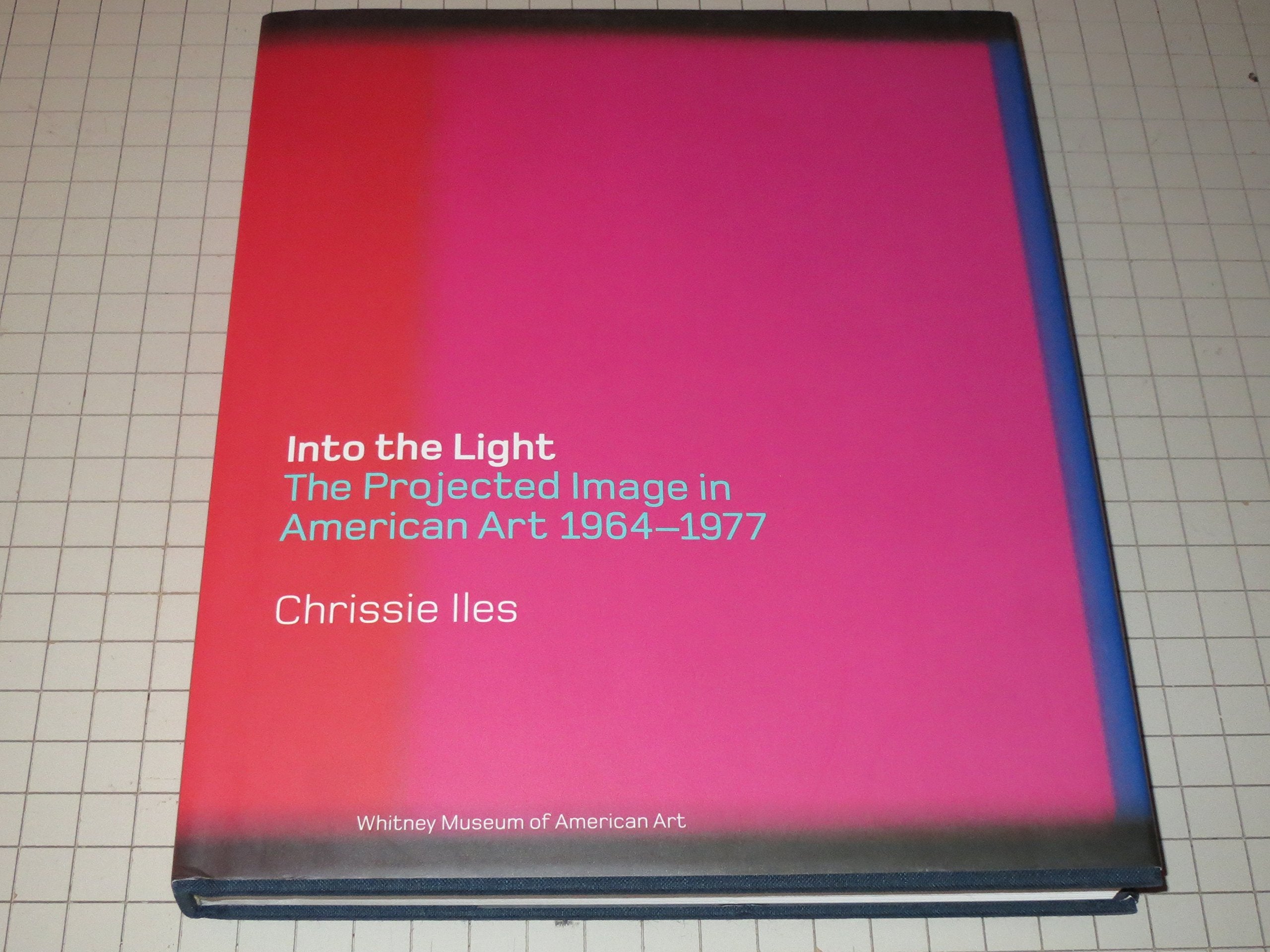 Into the Light: The Projected Image in American Art, 19641977,New