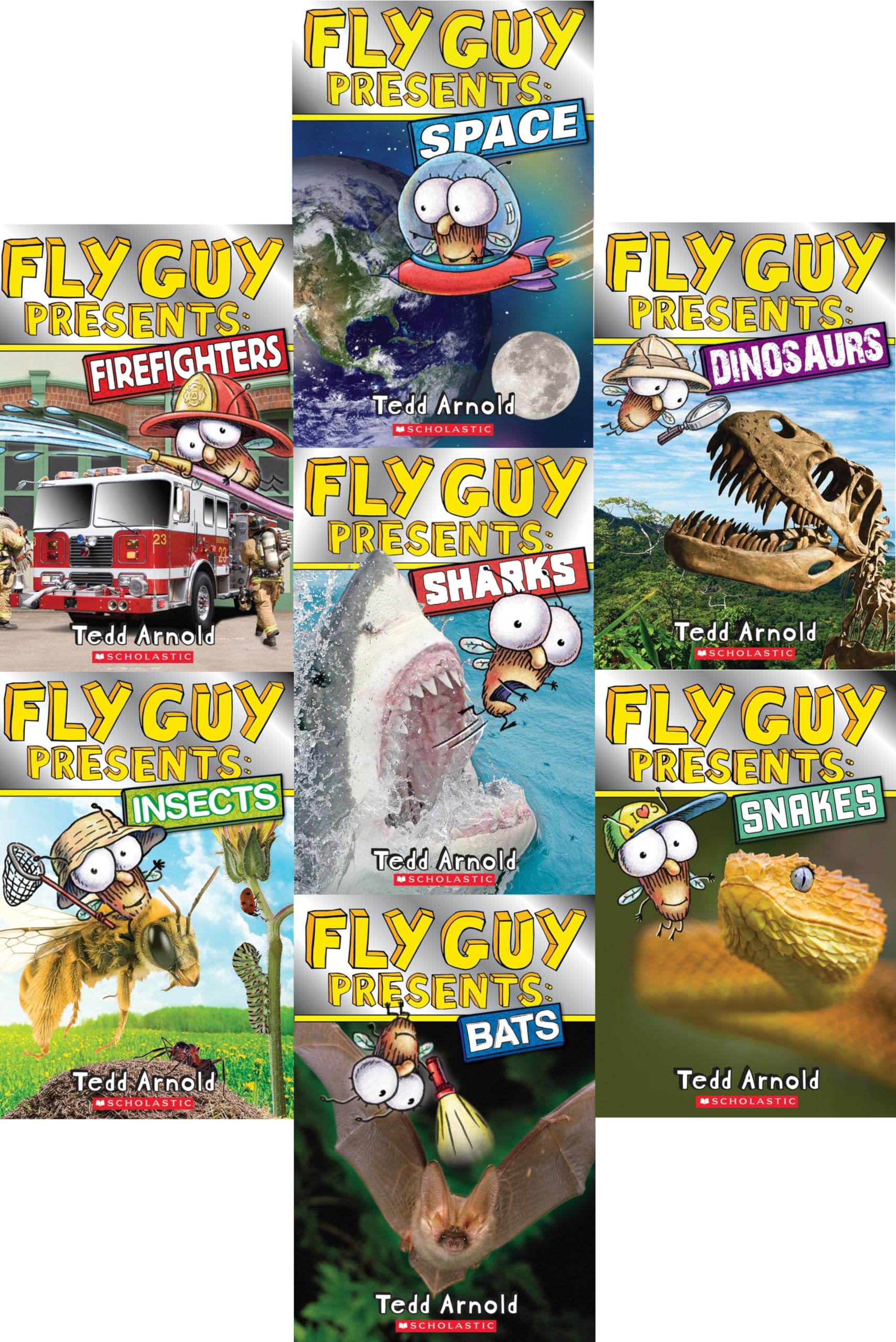 Fly Guy Presents Collection 7 Book Set-used