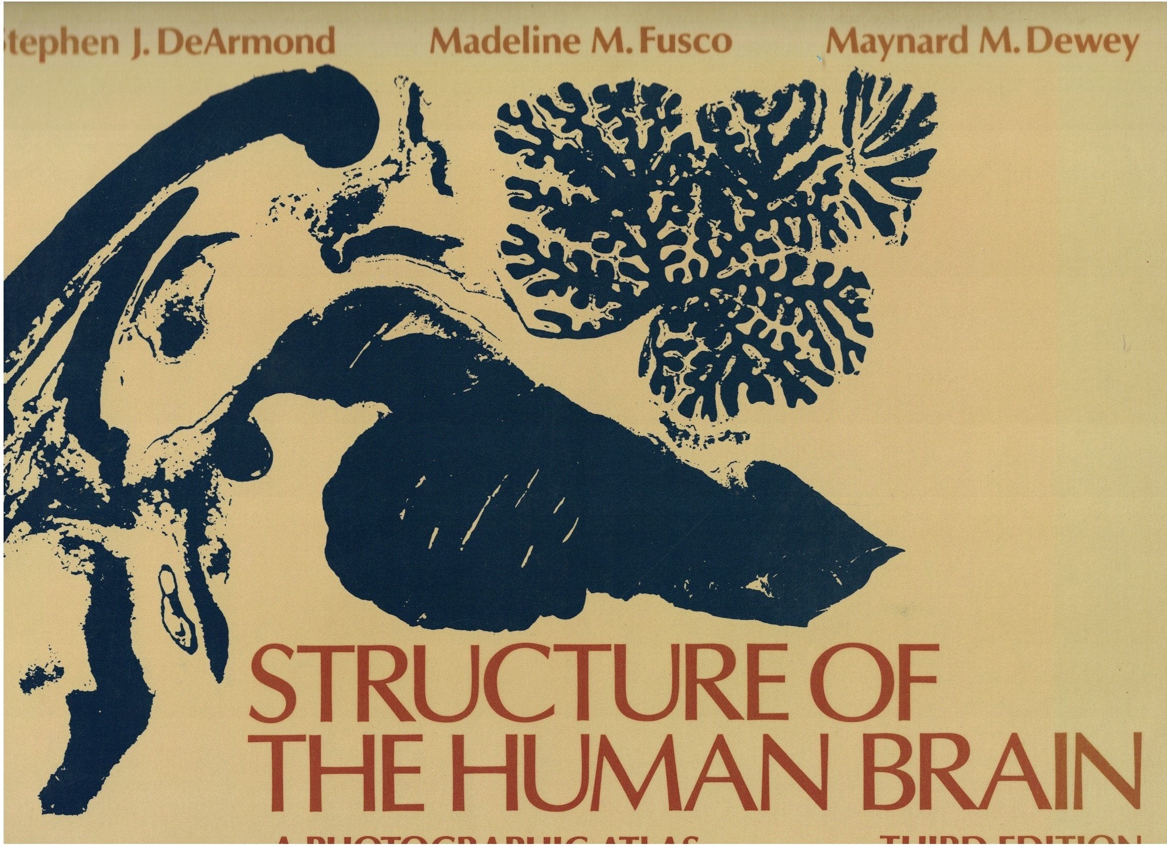 Structure of the Human Brain: A Photographic Atlas,Used