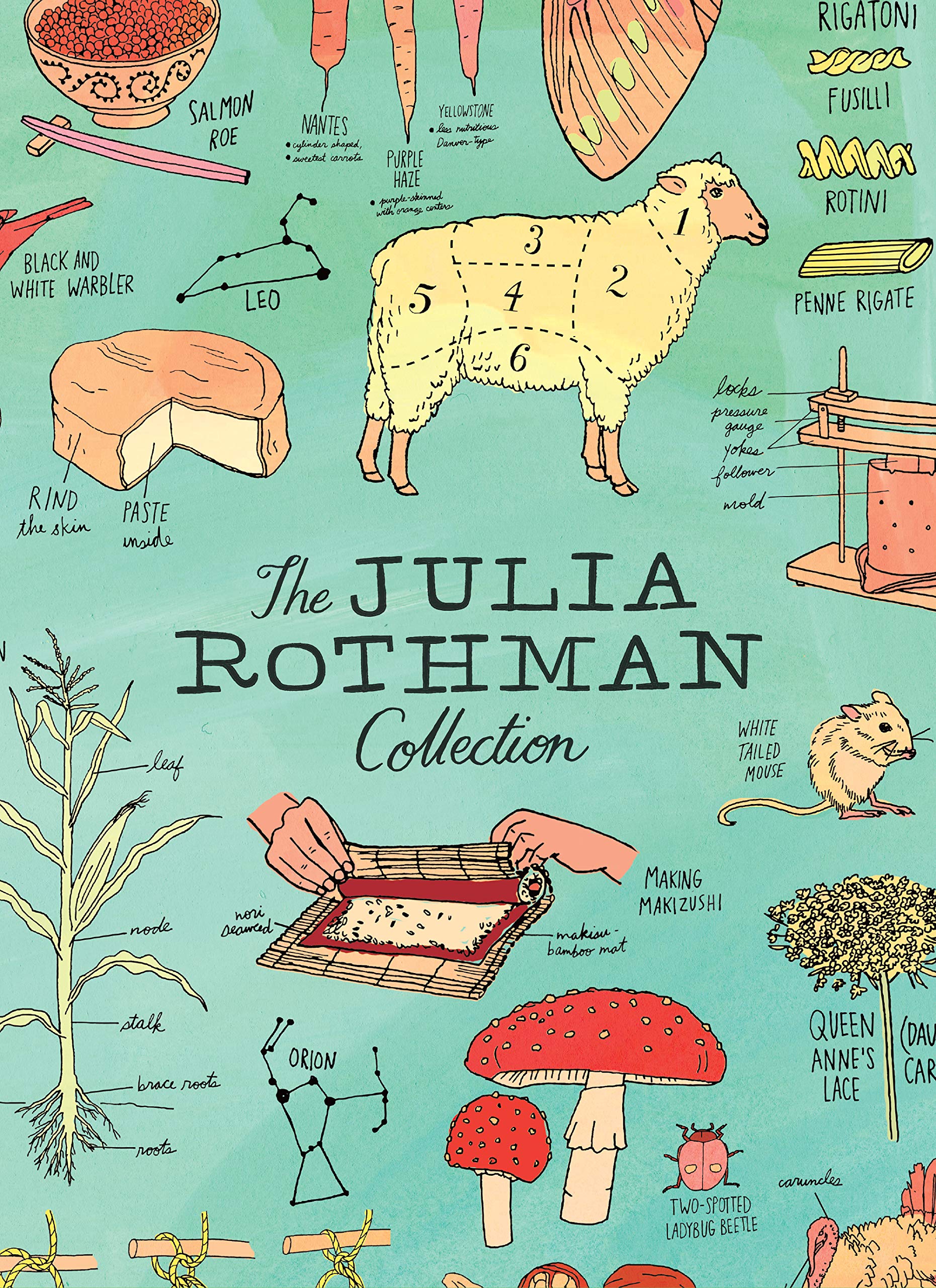 The Julia Rothman Collection: Farm Anatomy, Nature Anatomy, And Food Anatomy